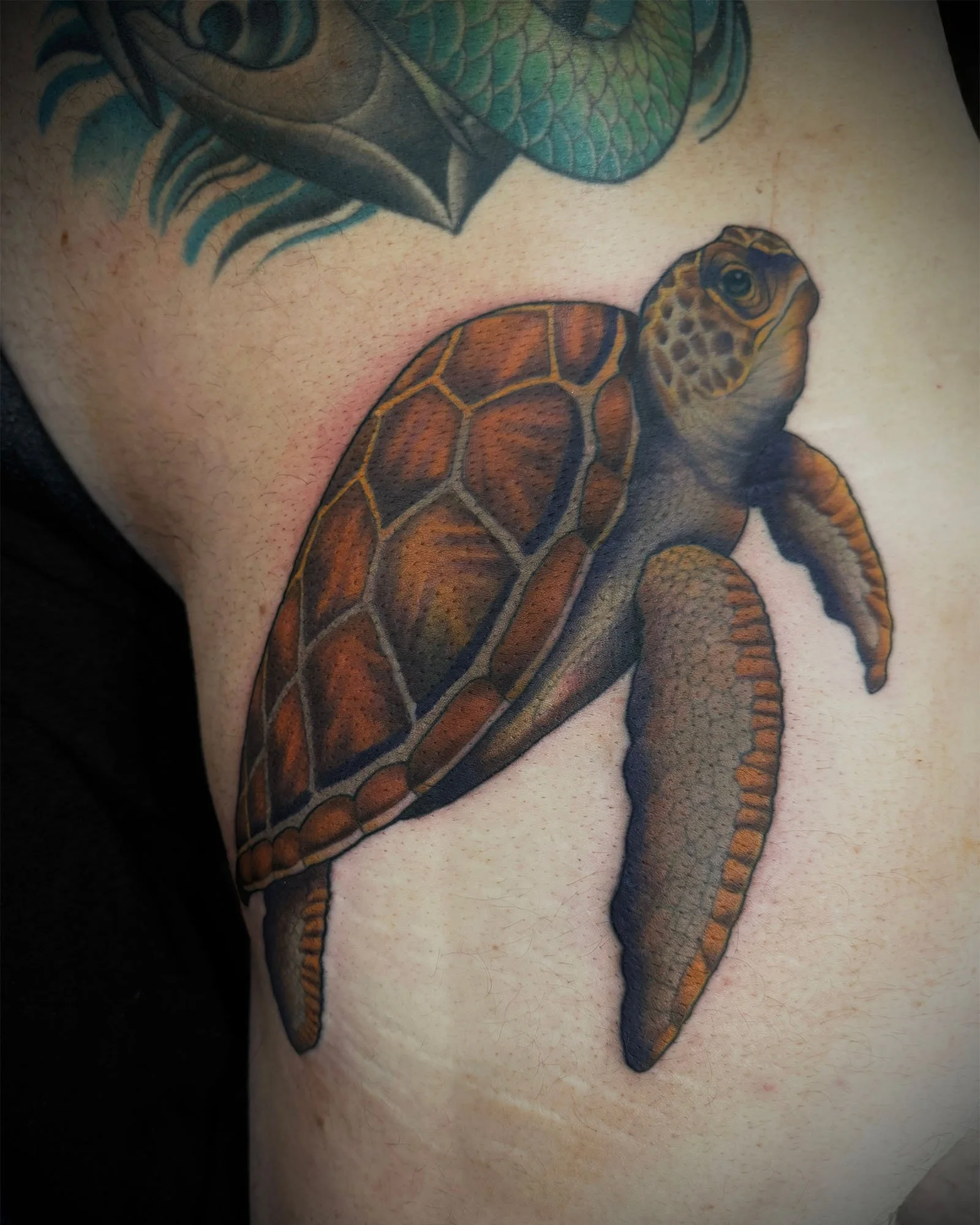 josey-yonge-illustrative-color-sea-turtle-tattoo-daphne-alabama.jpg