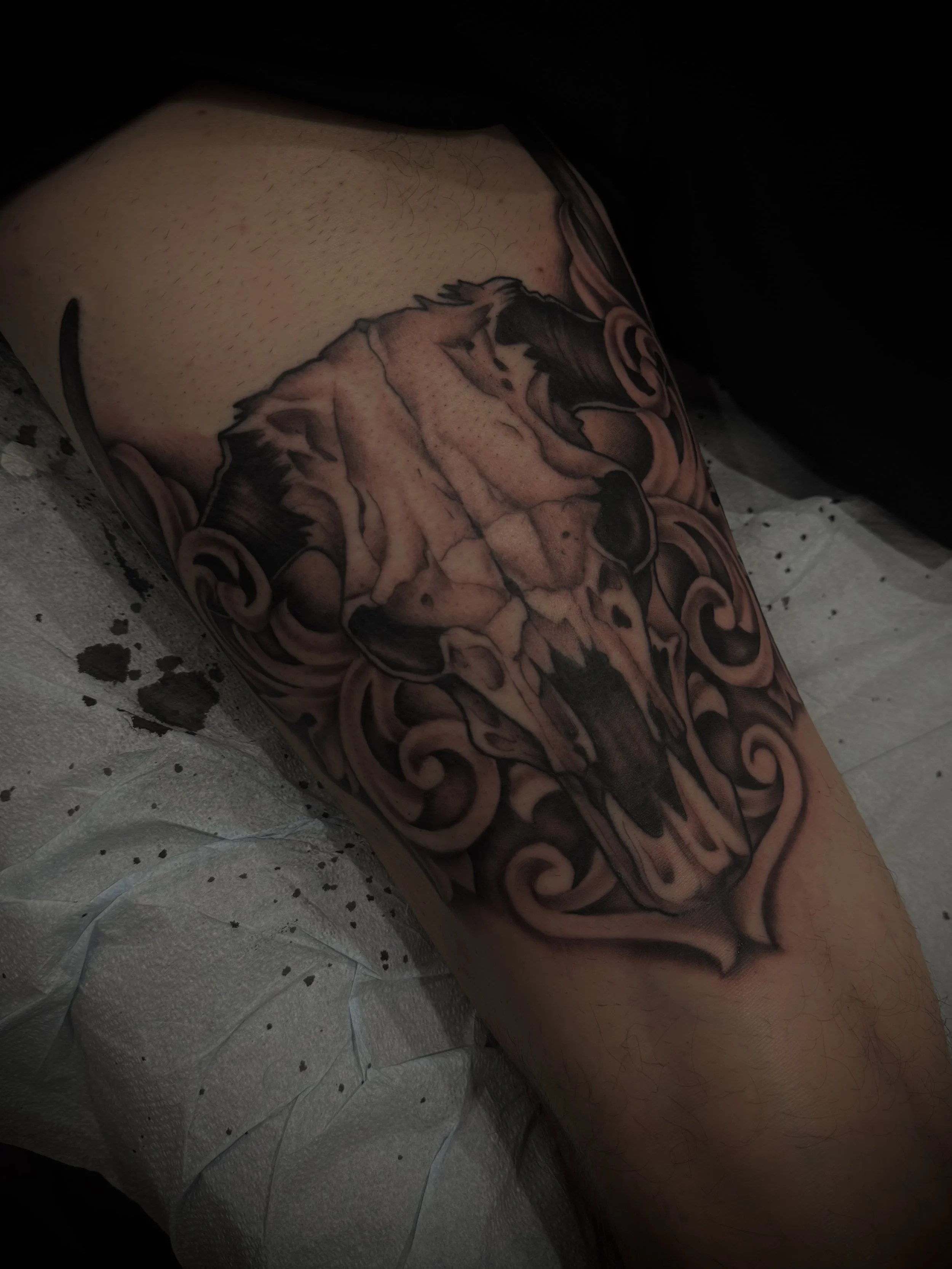 josey-yonge-black-grey-bison-skull-tattoo-daphne-alabama.jpg