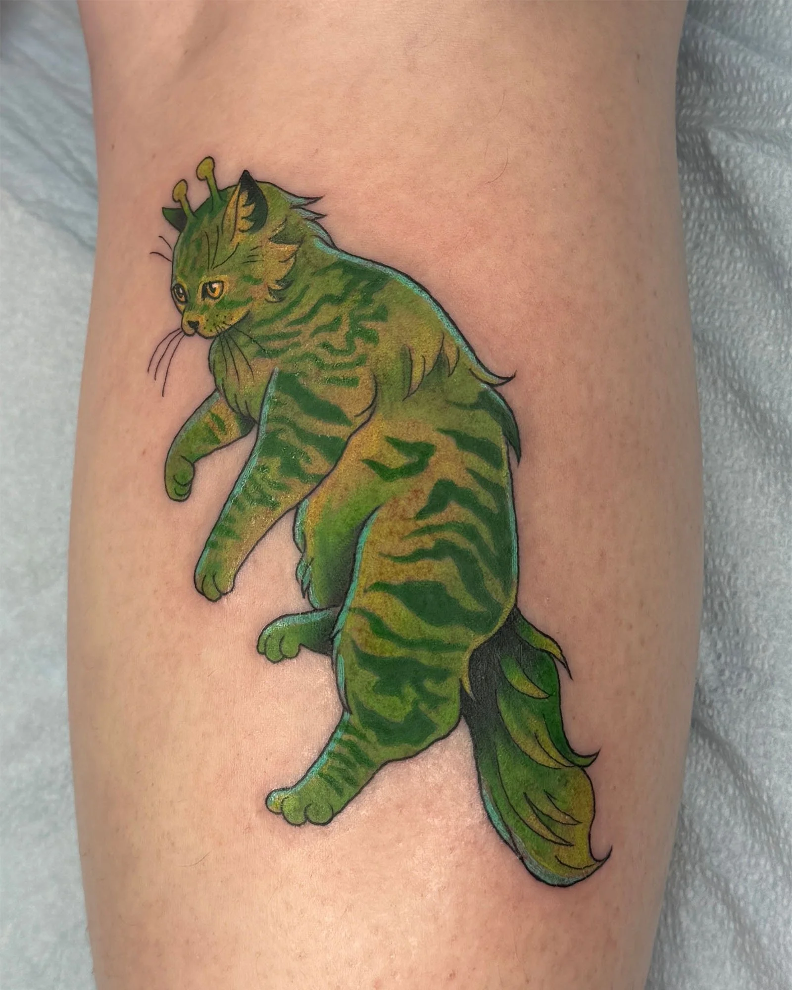  aj-rockwell-neotraditional-color-cat-tattoo-daphne-alabama.jpg