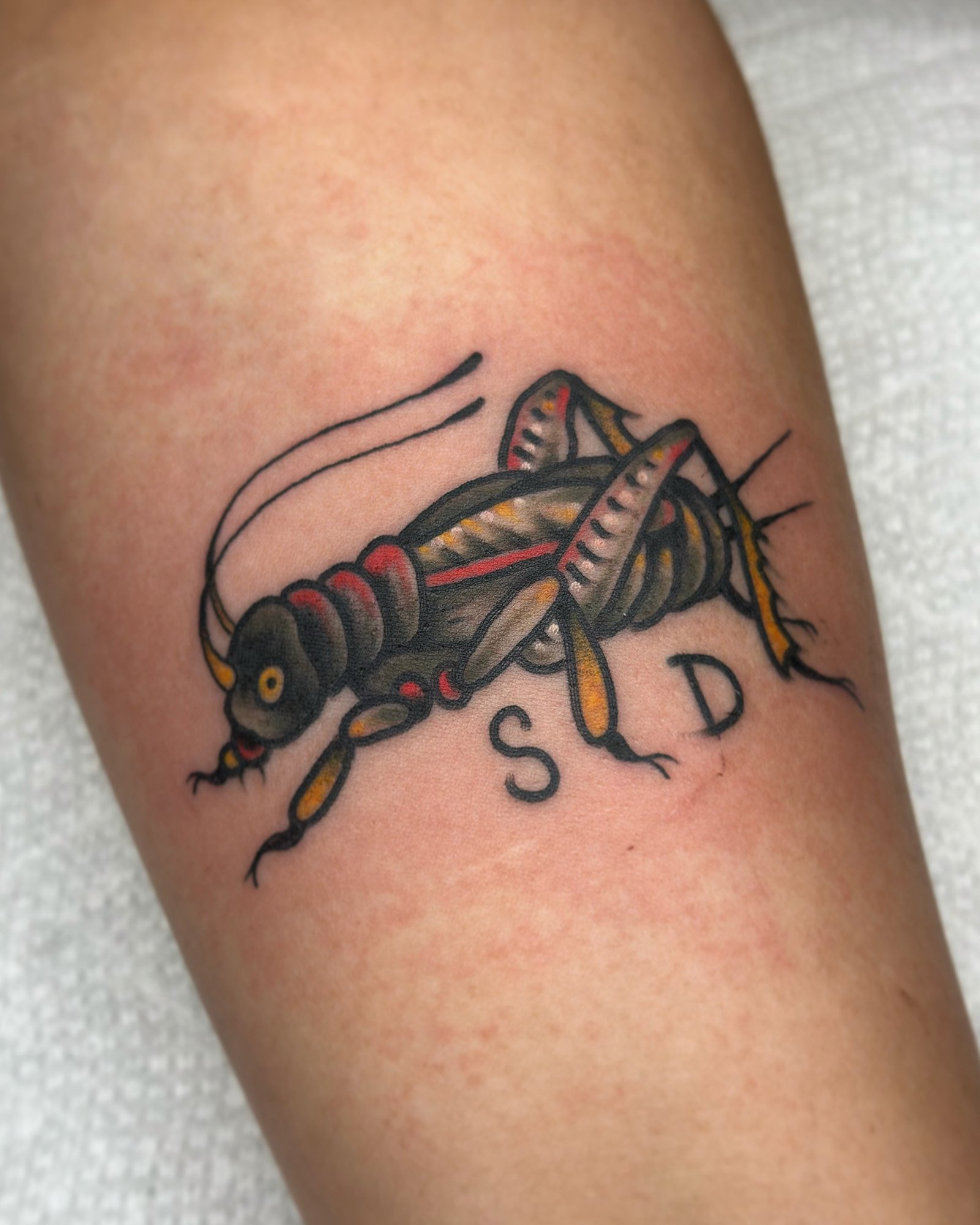 pat-duval-american-traditional-grass-hopper-tattoo-daphne-alabama.jpg