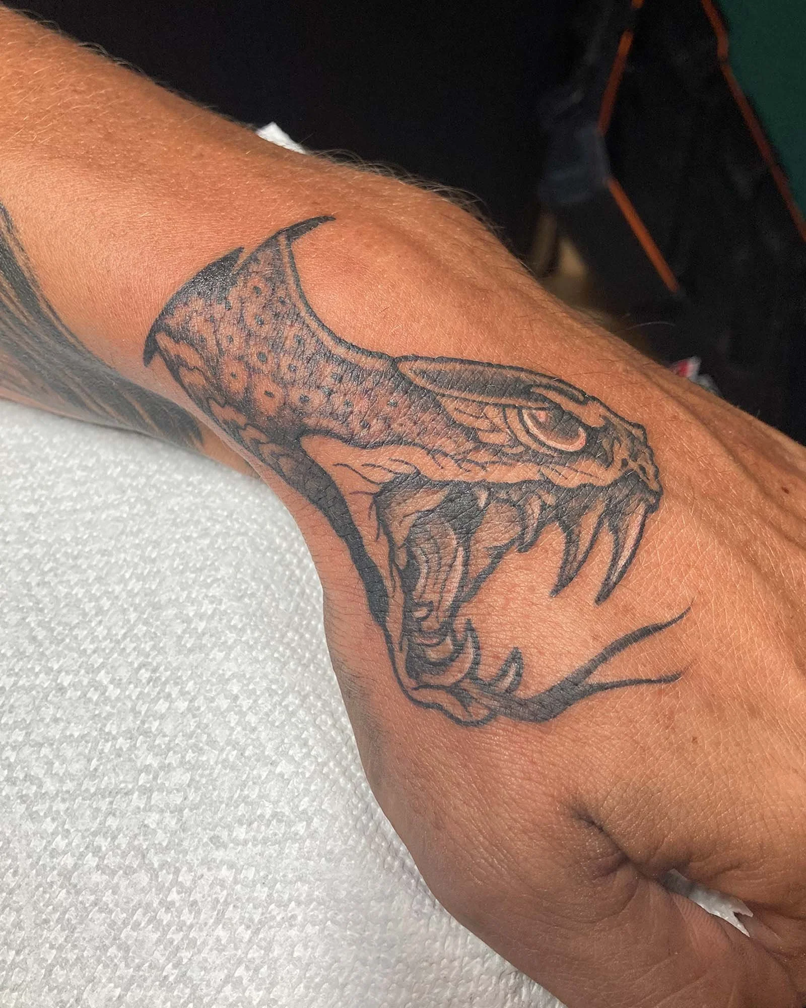 rob-green-black-grey-snake-tattoo-daphne-alabama.jpg