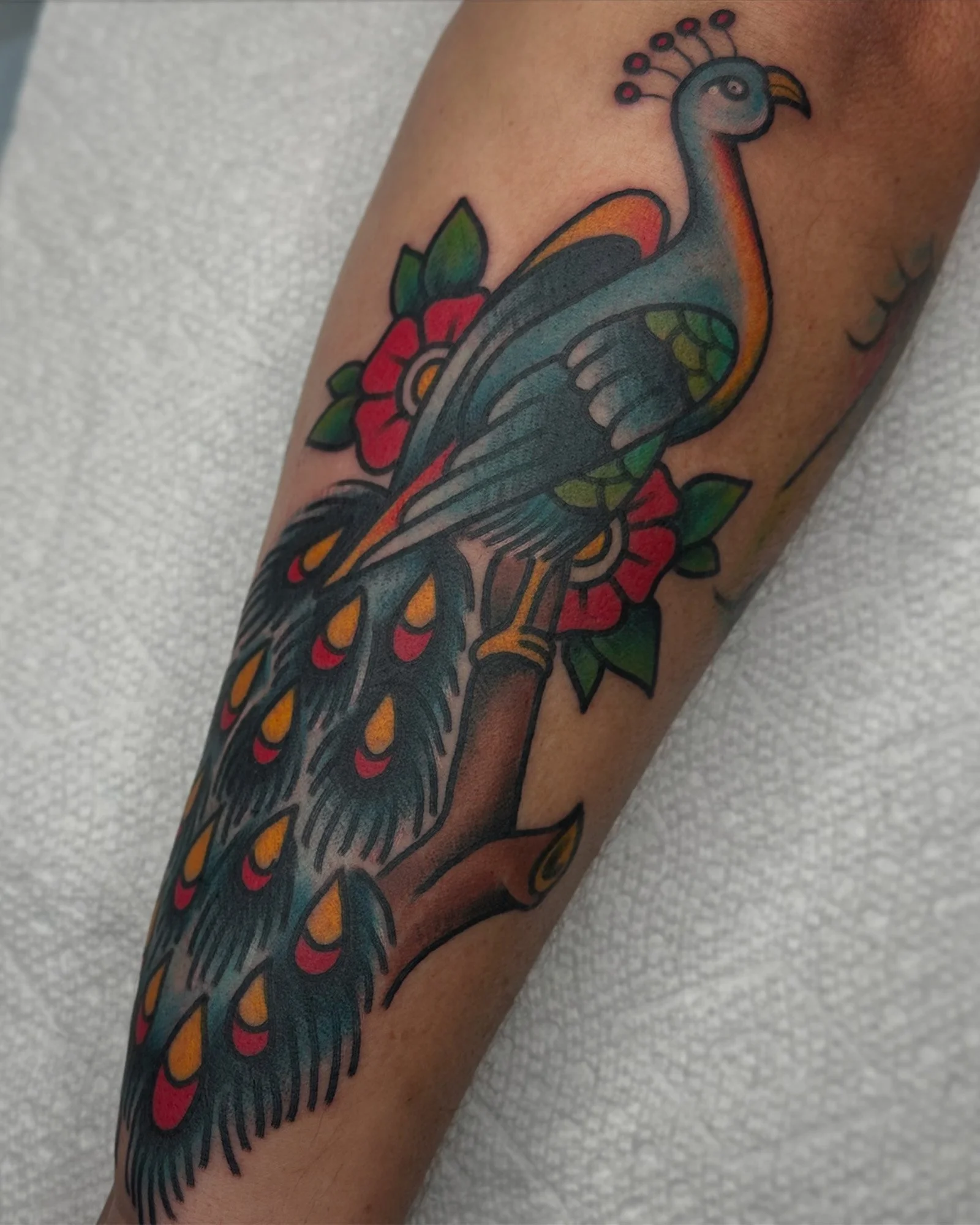 pat-duval-american-traditional-peacock-tattoo-daphne-alabama.jpg