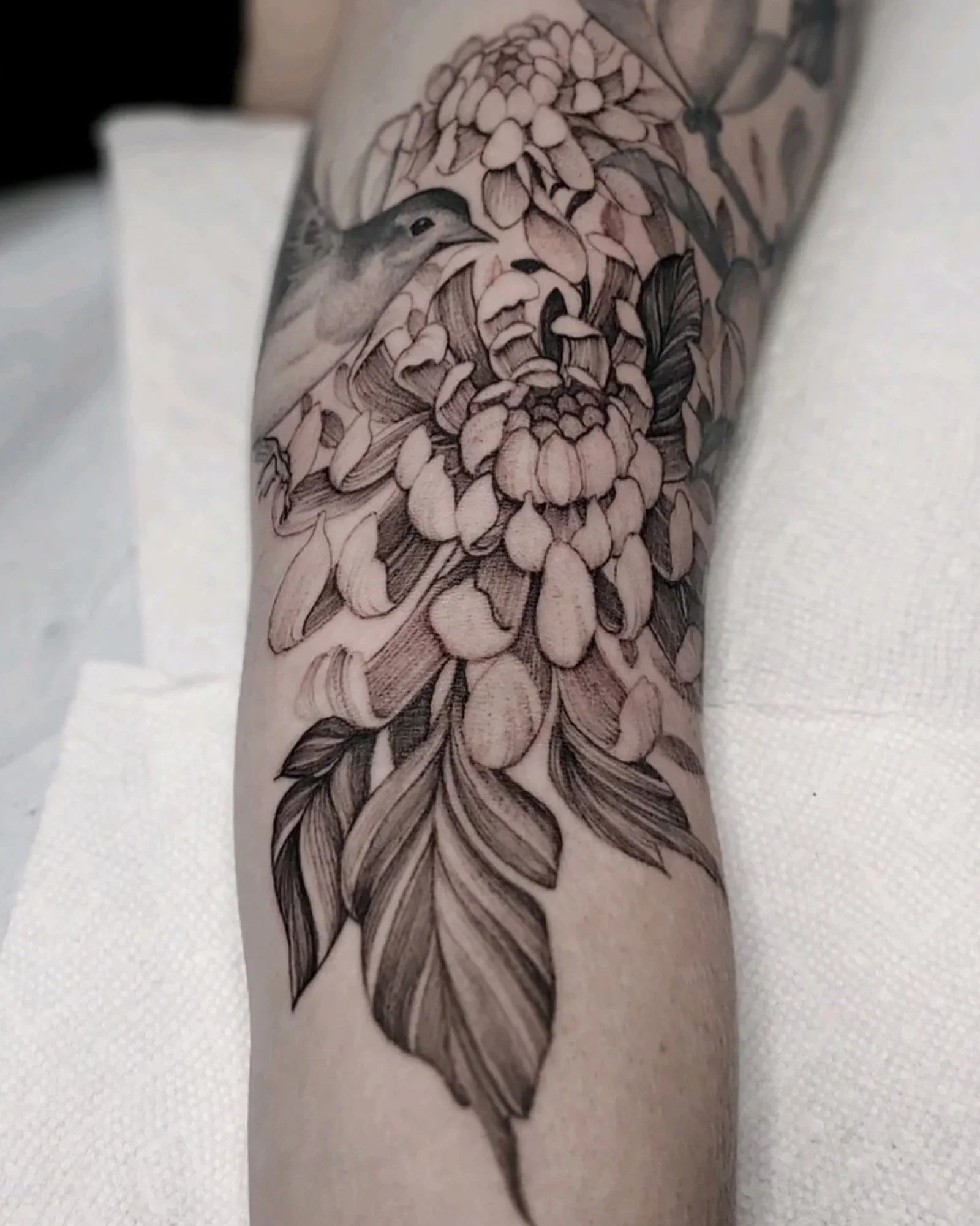 peter-anderson-fine-line-chrysanthemum-tattoo-daphne-alabama.jpg