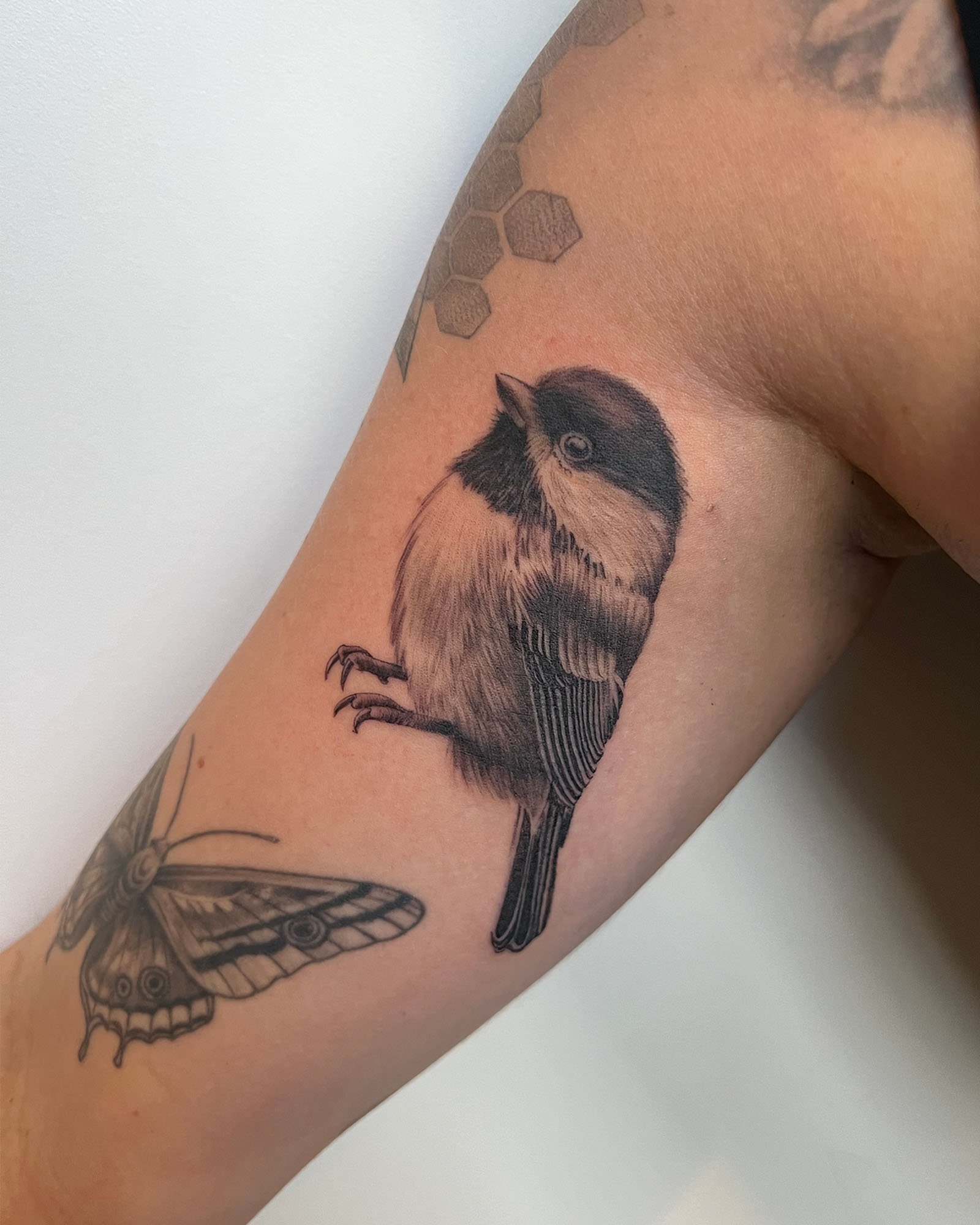 maddie-stanaland-black-grey-photo-realism-bird-tattoo-daphne-alabama.jpg