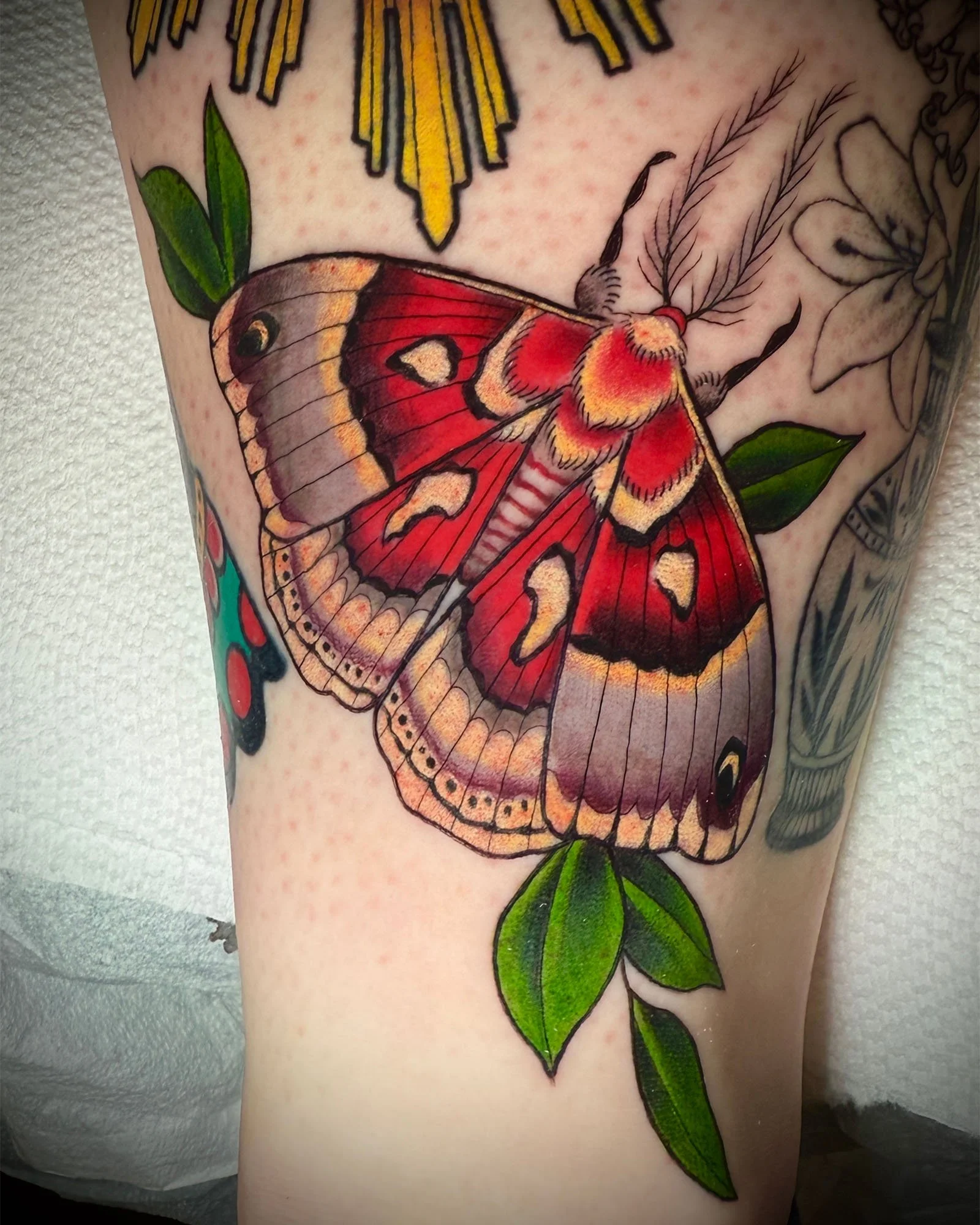  aj-rockwell-neo-traditional-color-moth-tattoo-daphne-alabama.jpg