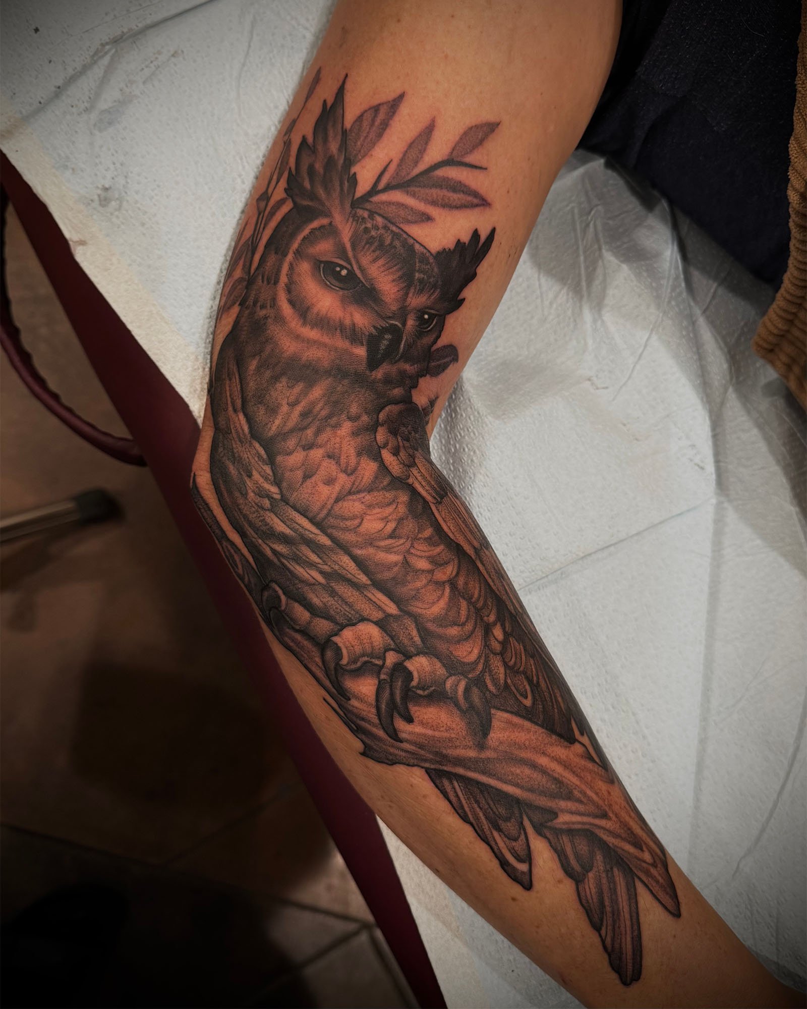 josey-yonge-illustrative-black-grey-realistic-owl-tattoo-daphne-alabama.jpg