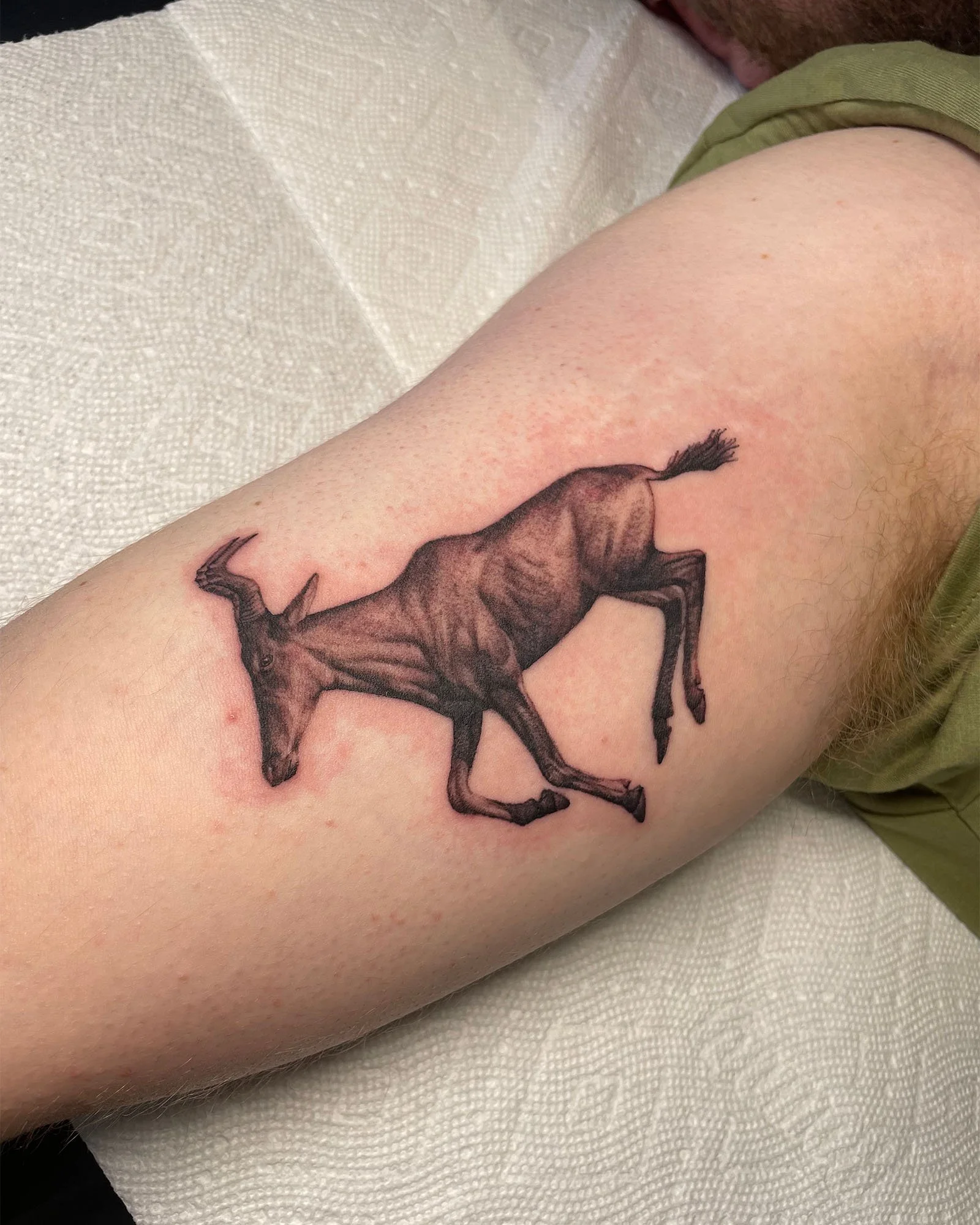 zach—long-black-grey-photo-realism-tattoo-daphne-alabama.jpg