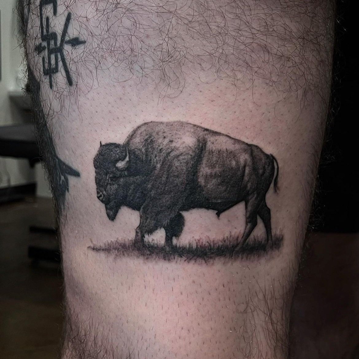 Buffalo Tattoo by Tony Nos | Traditional tattoo animals, Buffalo tattoo,  Traditional style tattoo