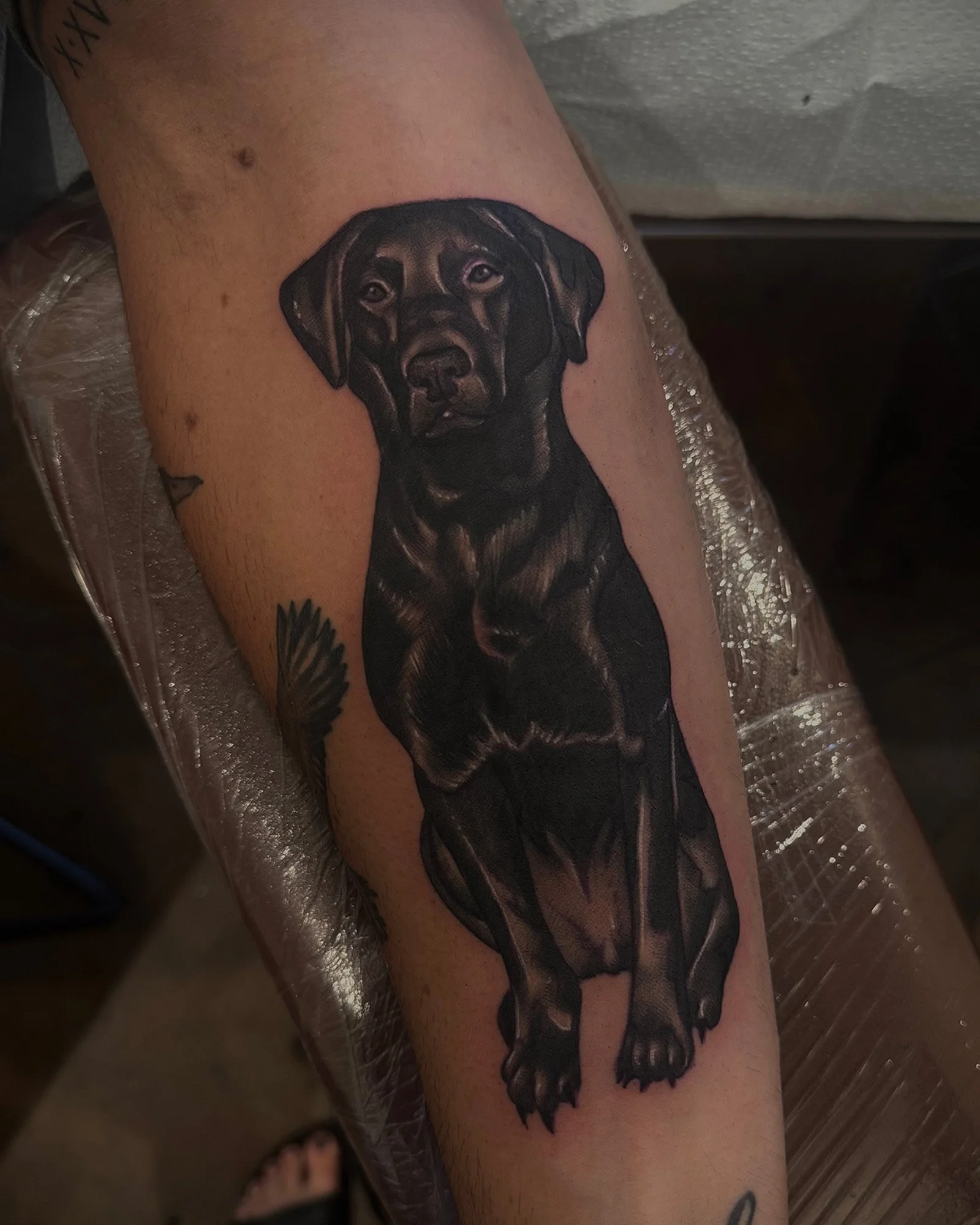 josey-yonge-traditional-dog-portrait-tattoo-daphne-alabama.jpg