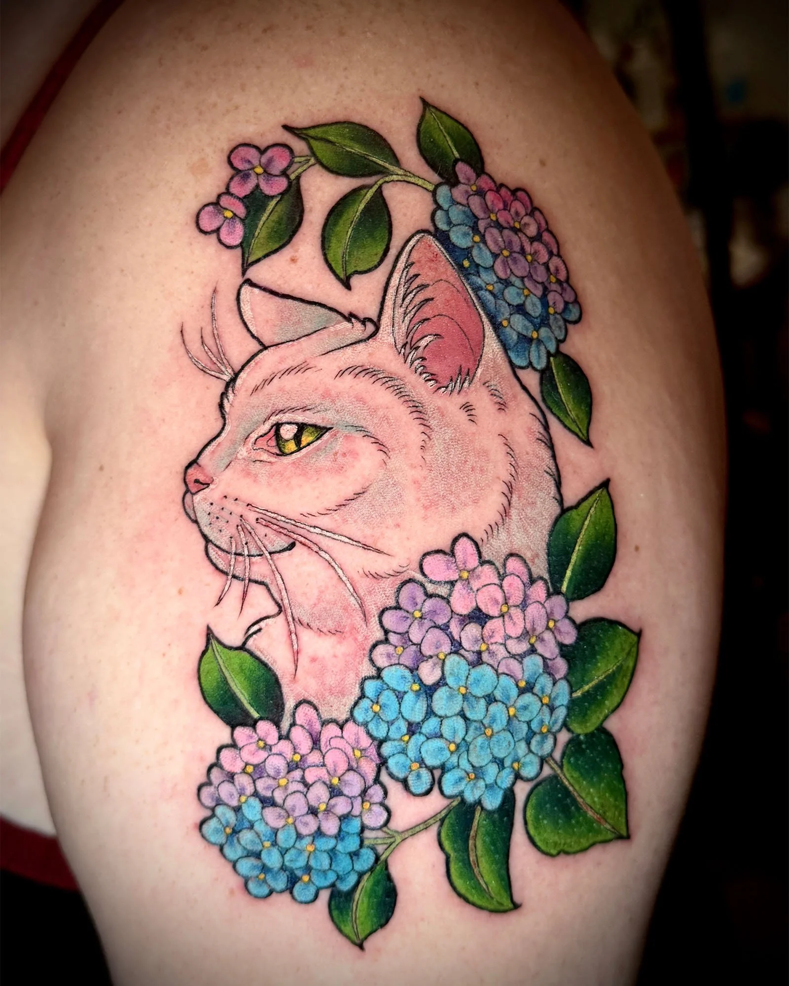  aj-rockwell-illustrative-color-cat-portrait-tattoo-daphne-alabama.jpg