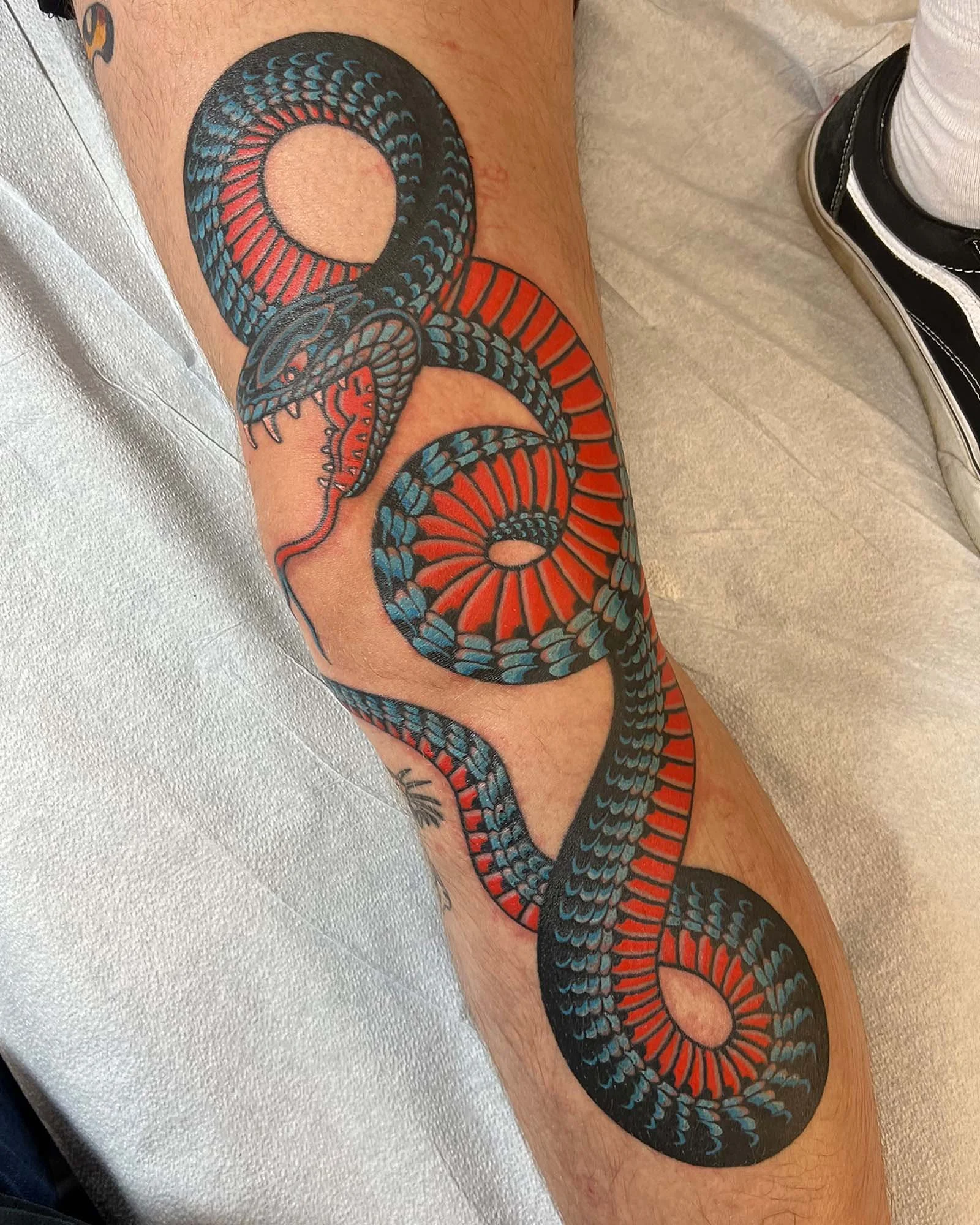 robert-johnson-japanese-traditional-snake-tattoo-daphne-alabama.jpg