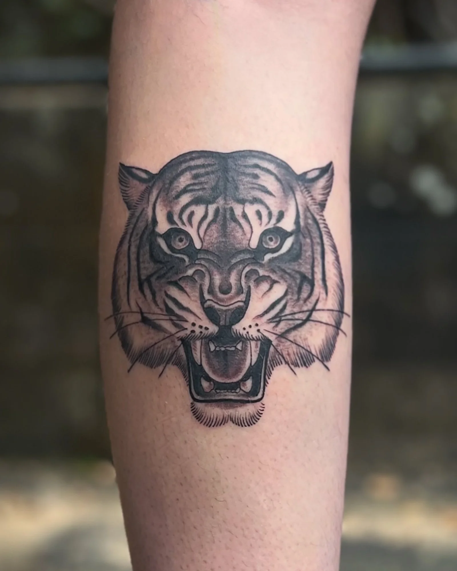 peter-anderson-black-grey-tiger-forearm-tattoo-daphne-alabama.jpg