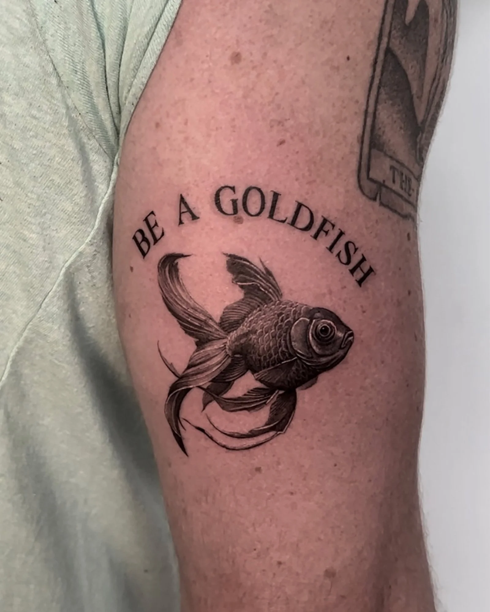 maddie-stanaland-black-grey-photo-realism-goldfish-tattoo-daphne-alabama.jpg