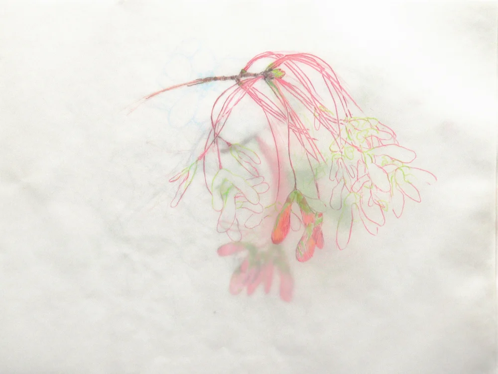 springdetail3.jpg