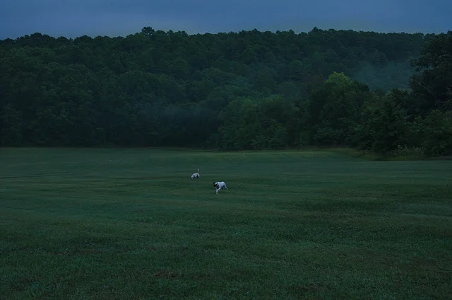 Flint Creek Farm, Oklahoma. 9/21/2014.