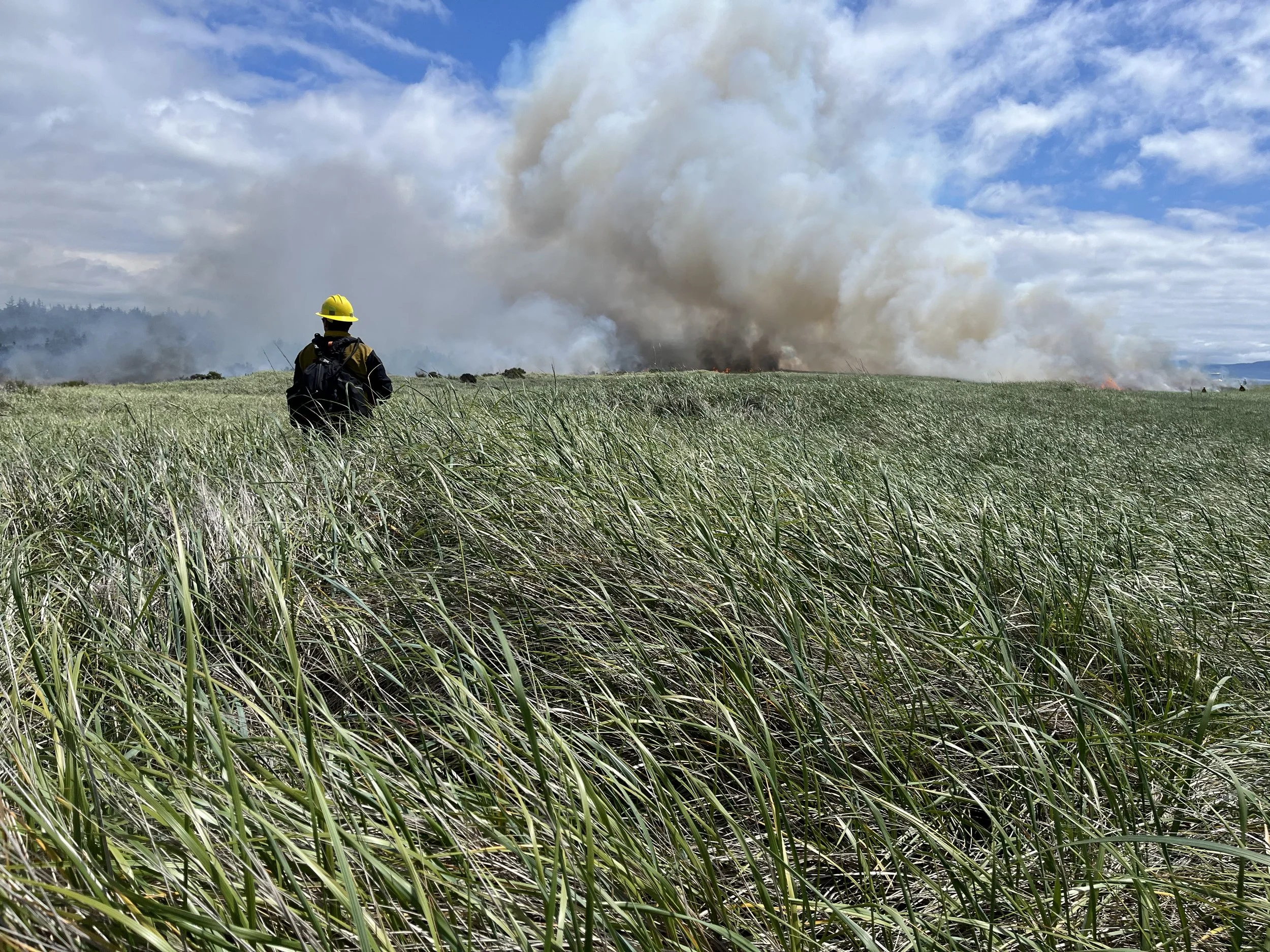 Northwest Oregon Wildfire School (NOWS)