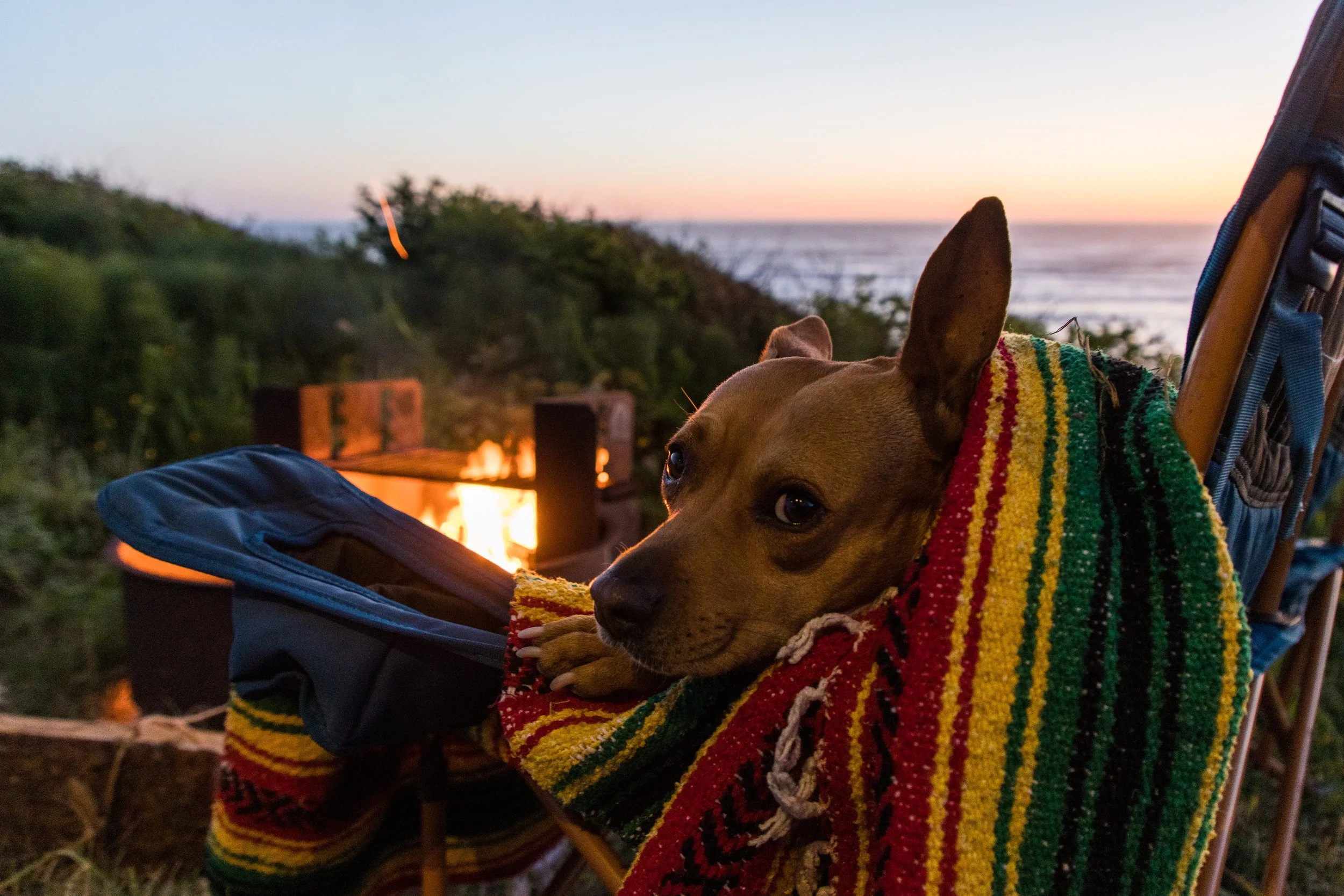 Porsche 911SC - Matt Crooke - © Sam Dobbins 2023 - 0285.jpg