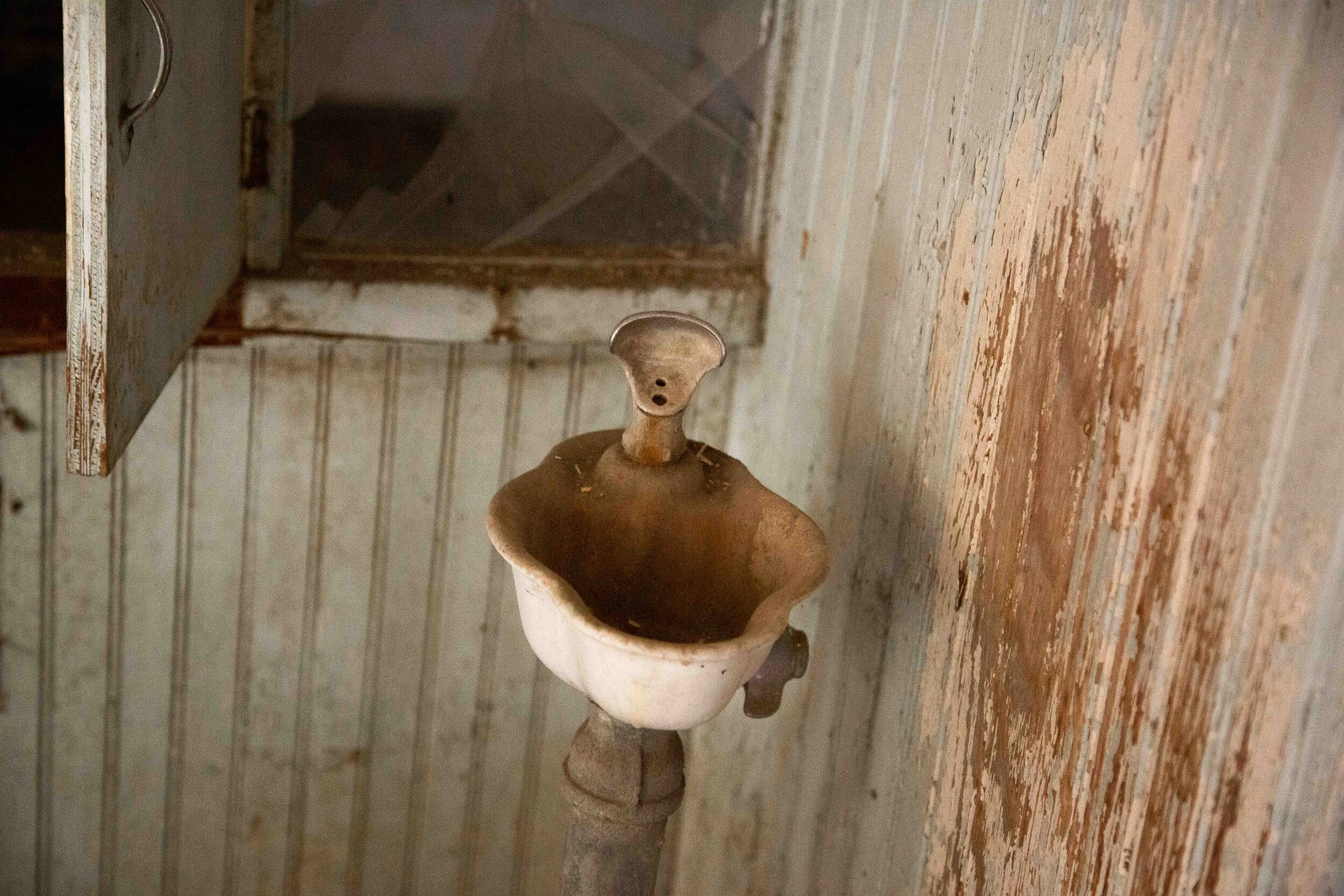IRSS Photos-WEB-7951.jpg