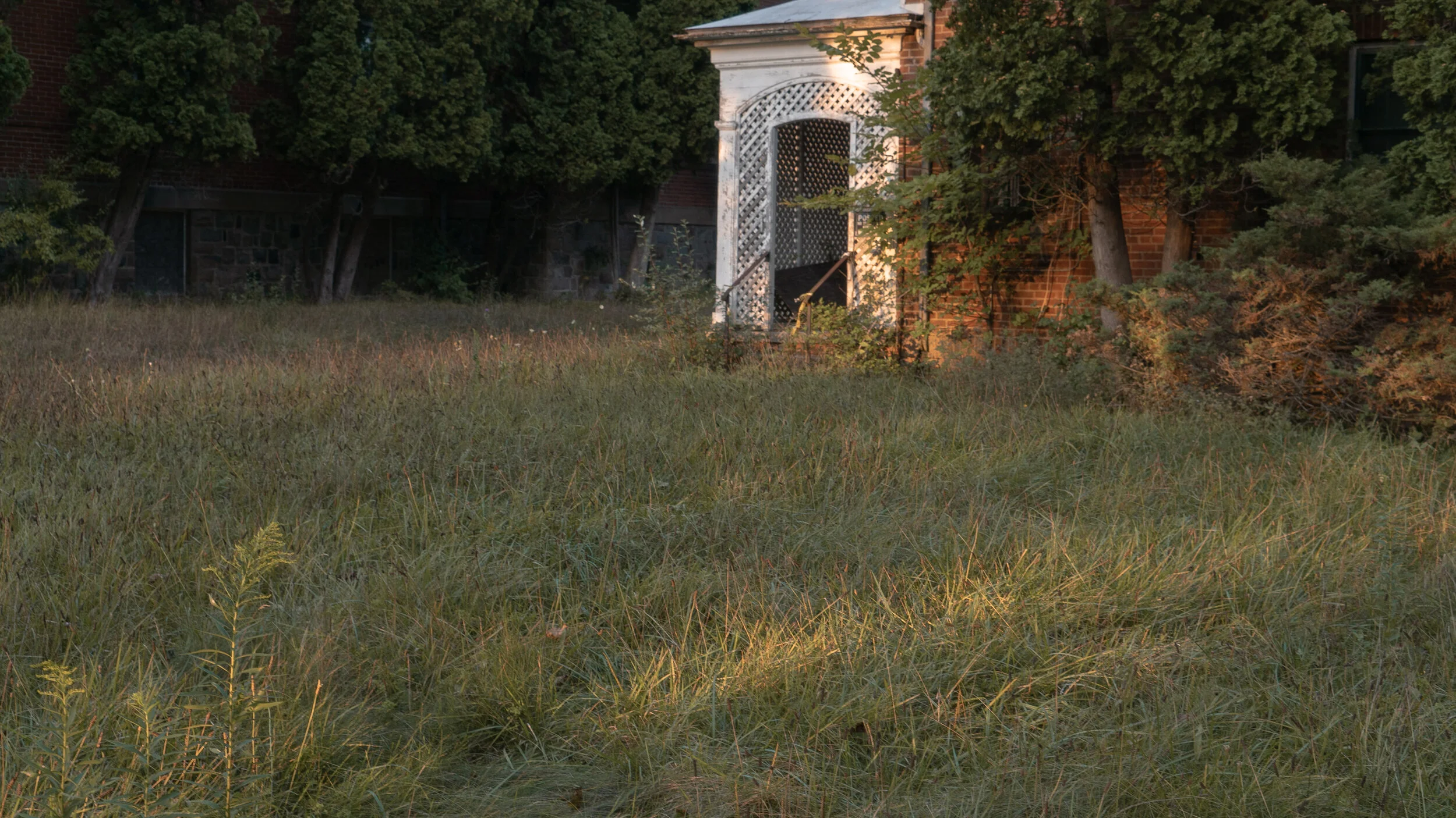 IRSS Photos-WEB--2.jpg