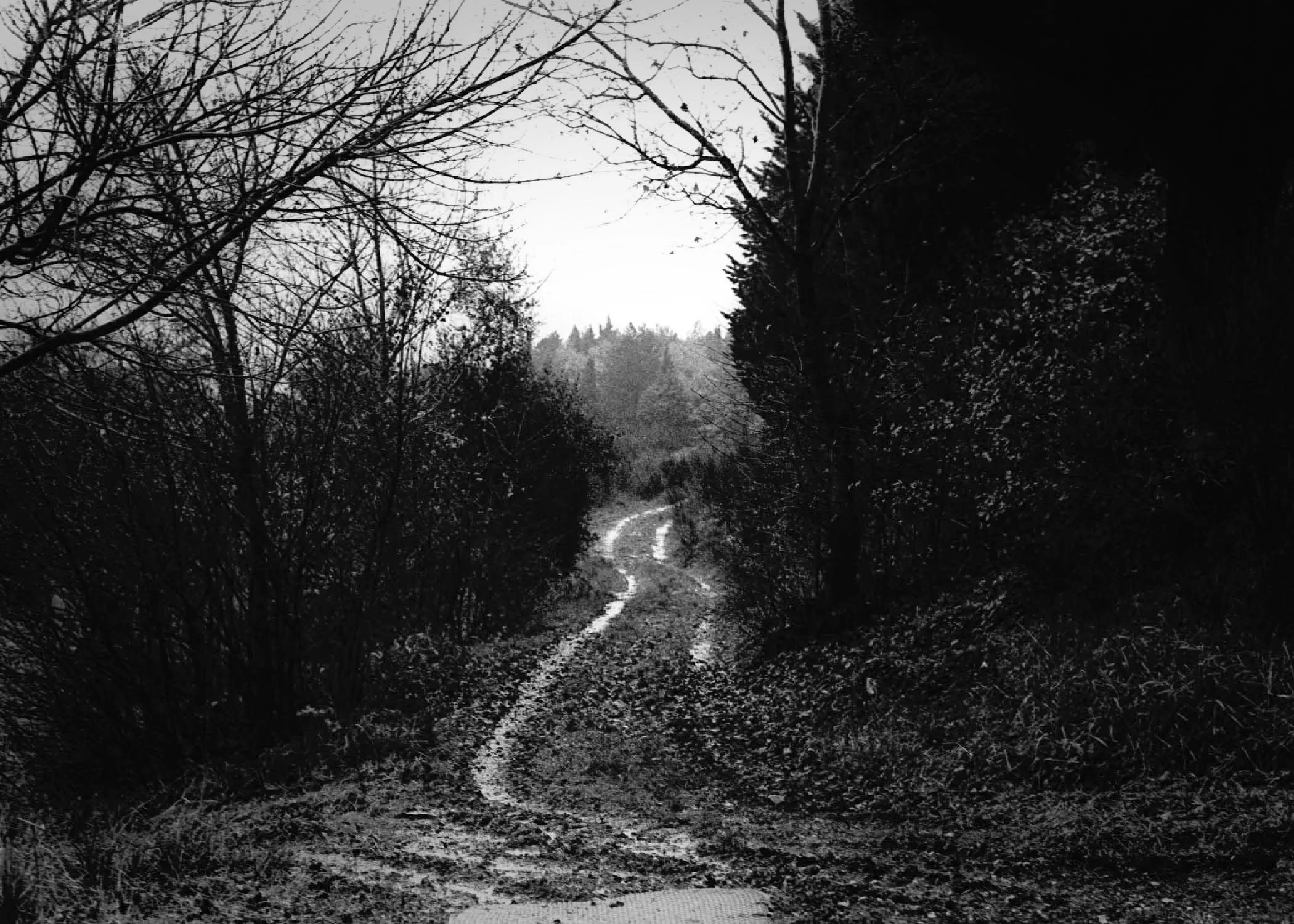 Landscape_0005.jpg