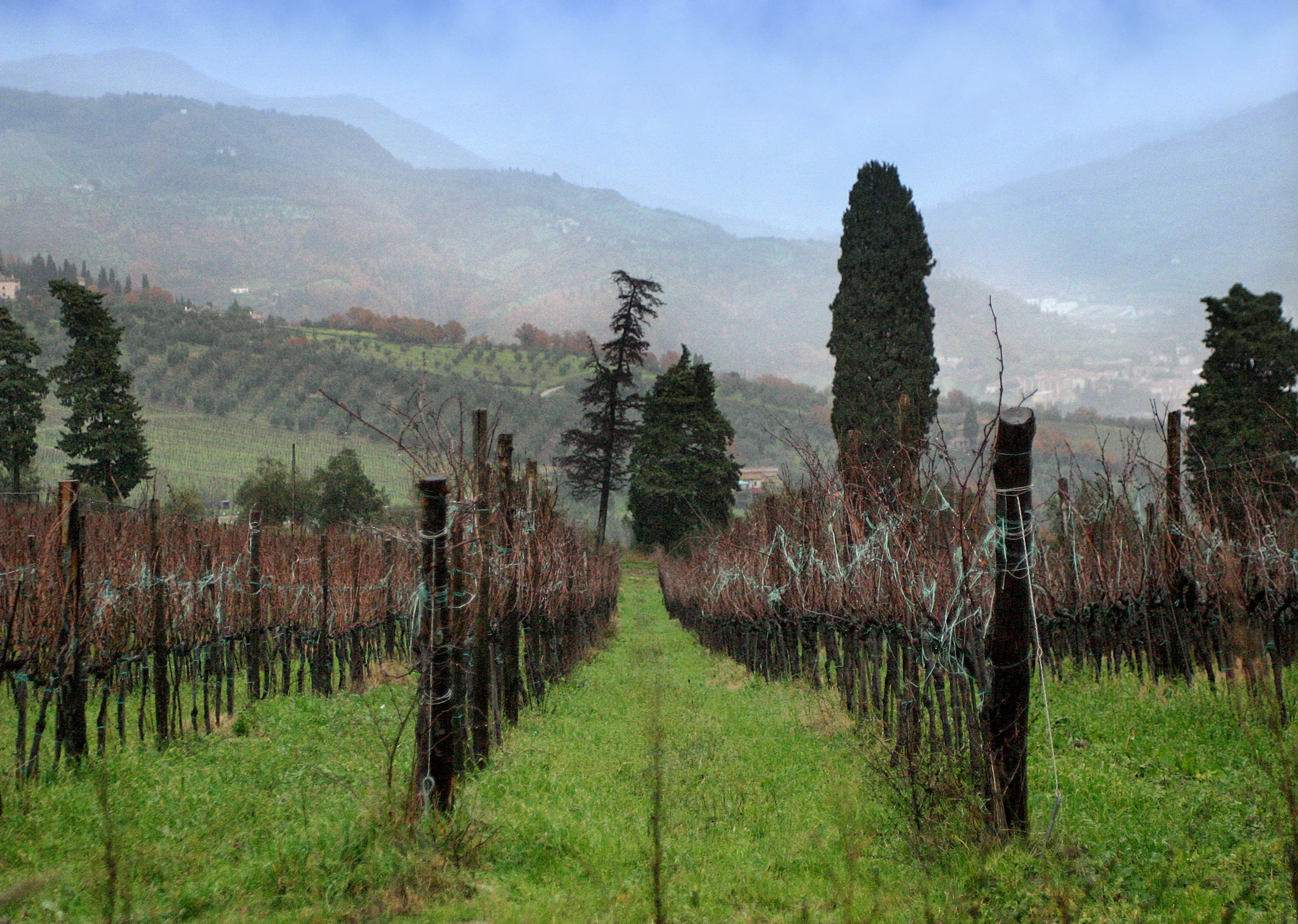 Landscape_0007.jpg