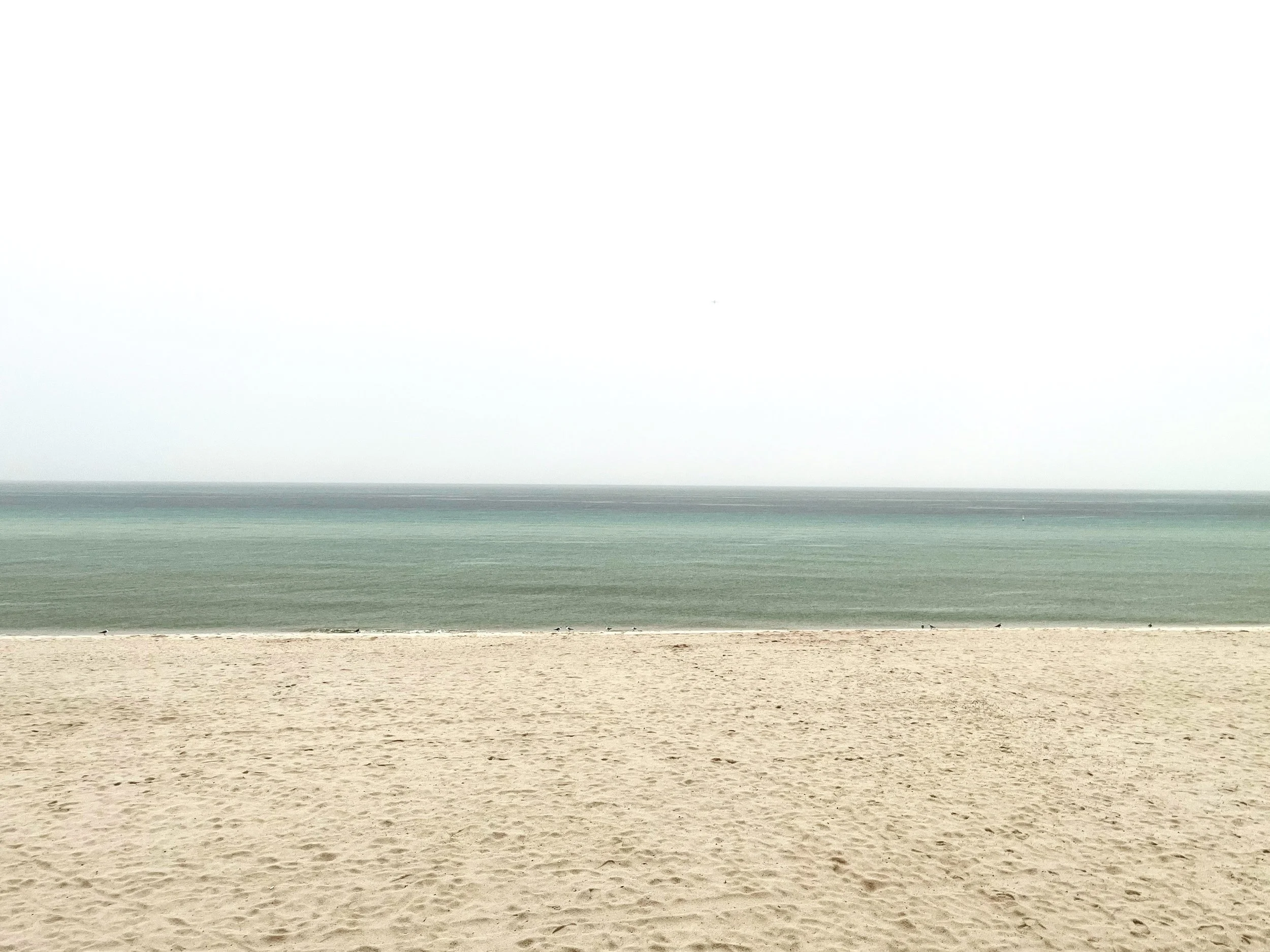 D8DB7BDD-C9A8-4819-B406-2967FAC5AA11.jpg
