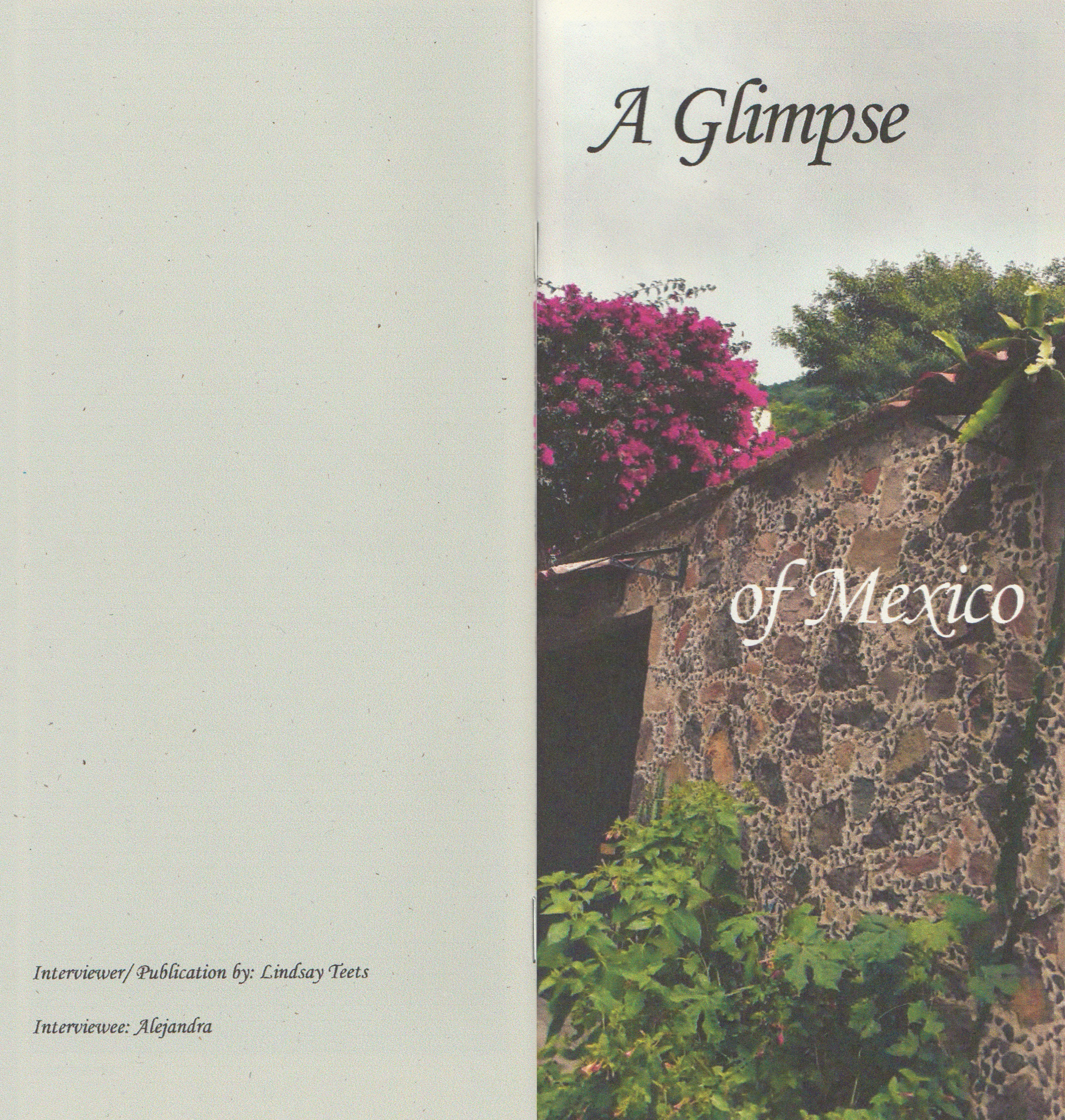 Mexico_cover.jpg