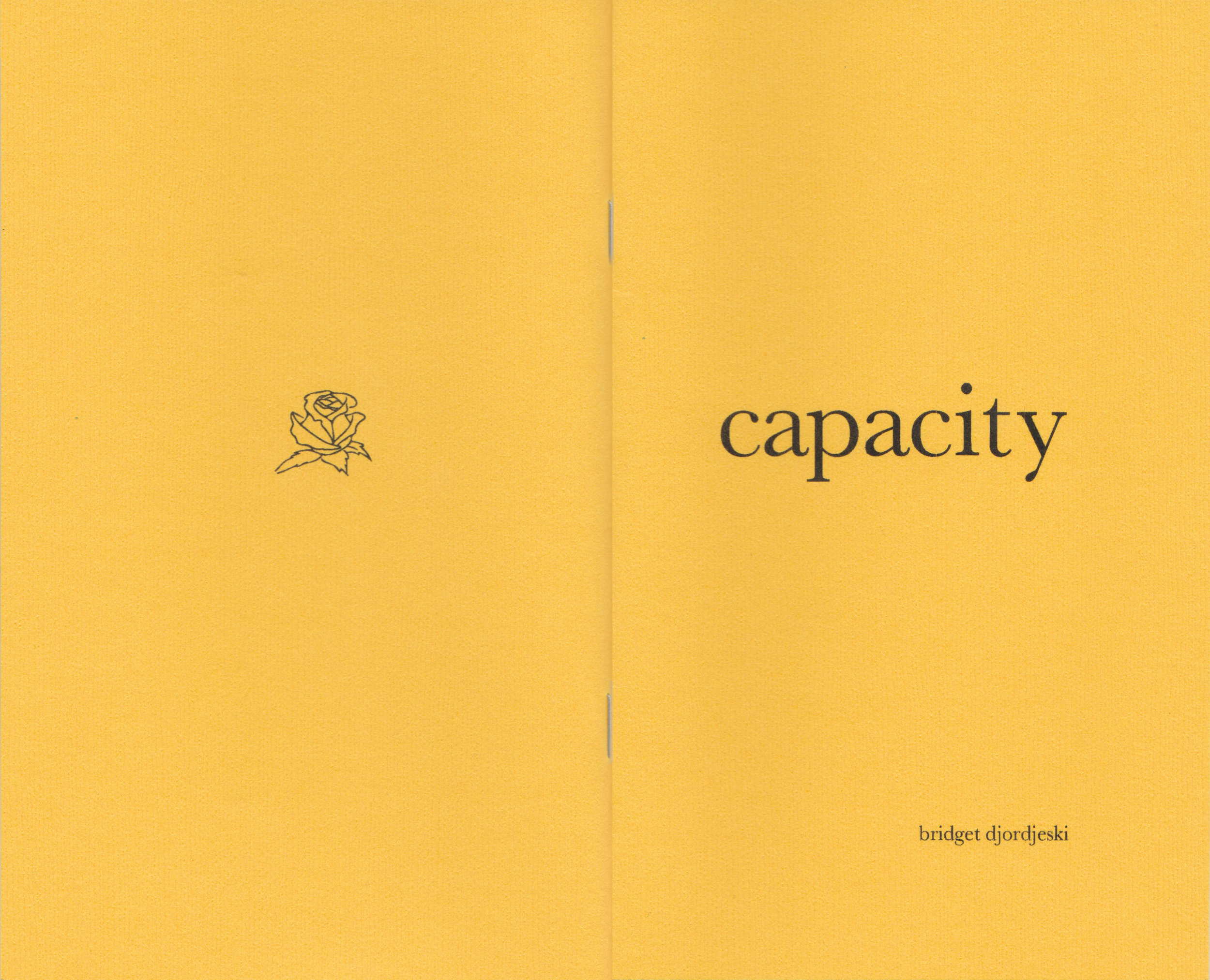 Capacity_Cover.jpg
