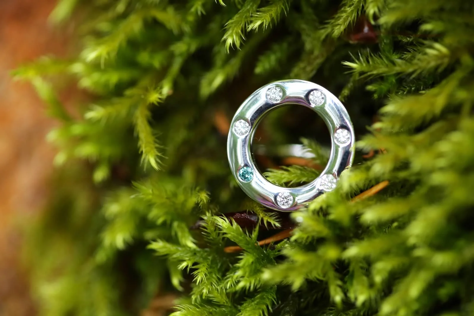 moss6.jpg