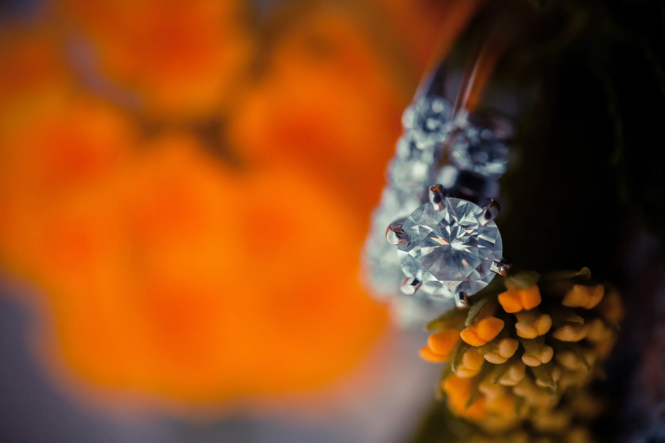 Tina & Justin-0466.JPG