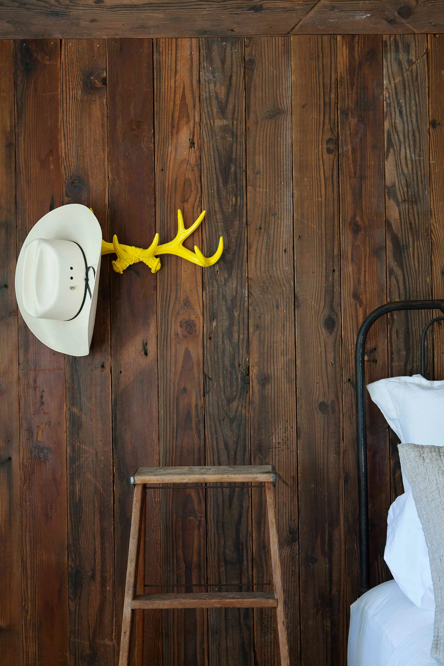 yellow-antler.jpg