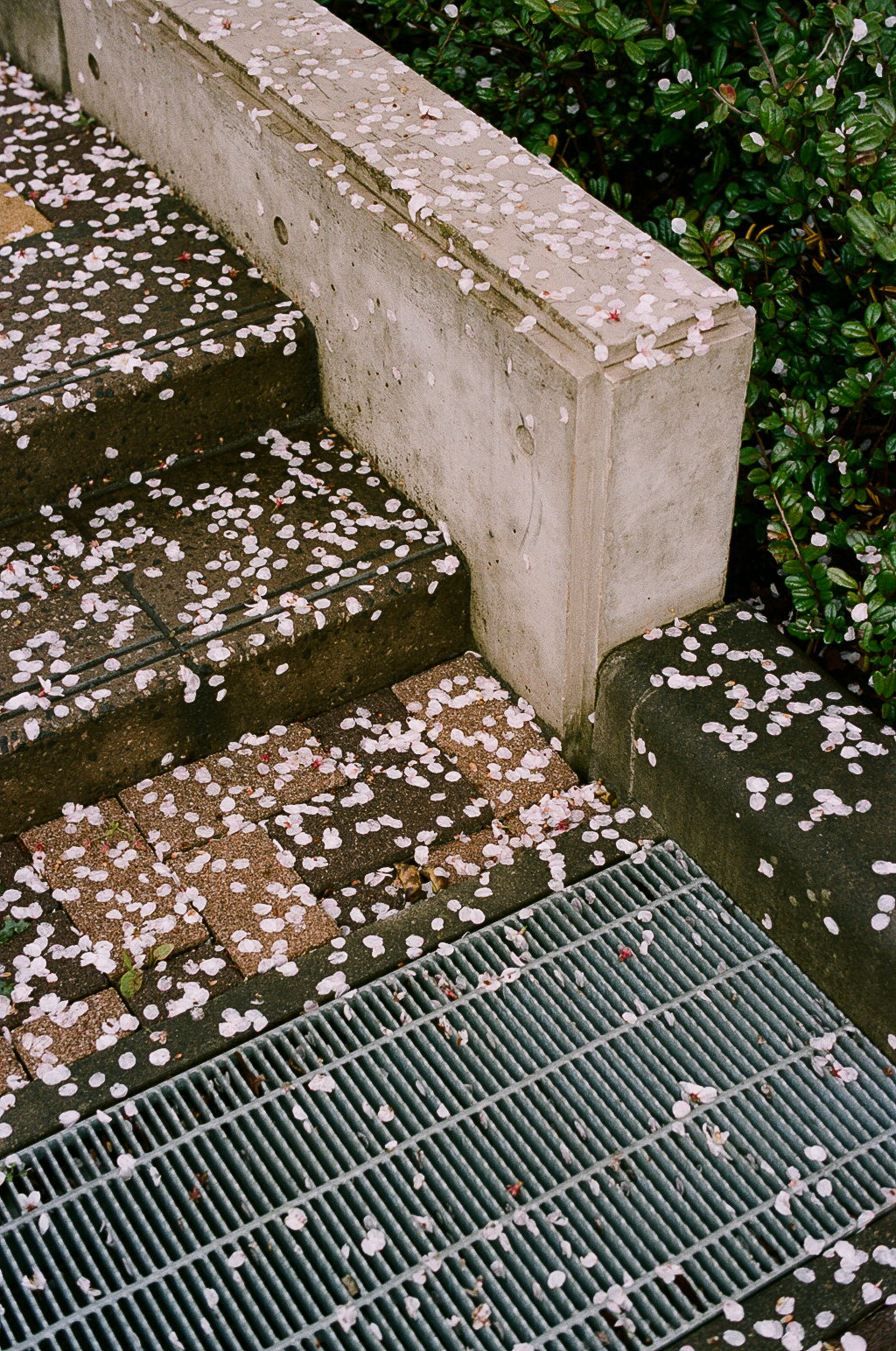 ShaneFKing-00010020.jpg