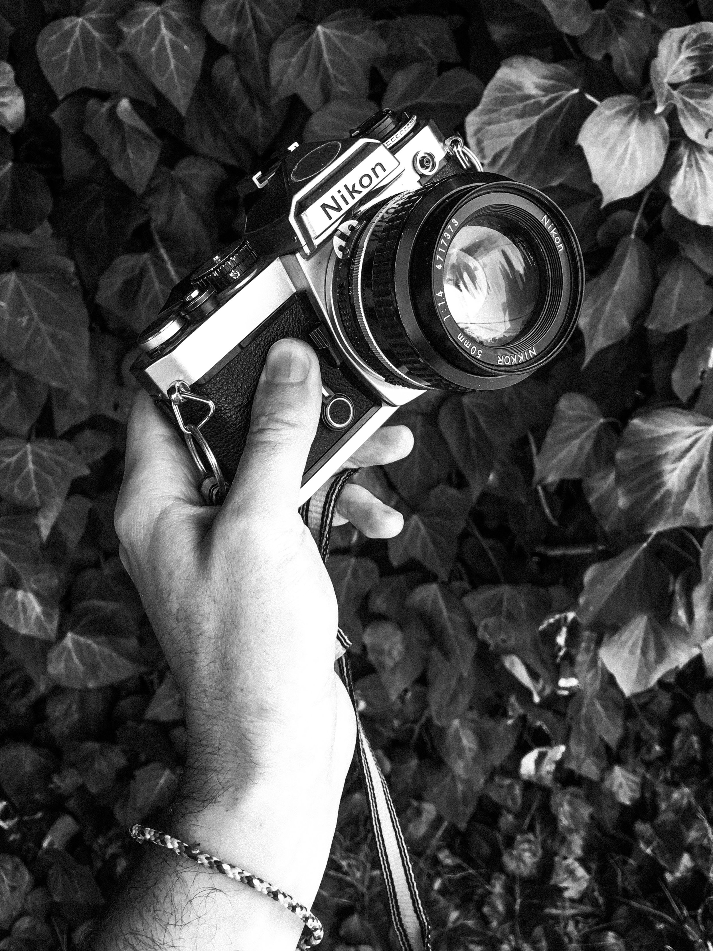 The 50mm Lens; or How I Learned to Stop Worrying And Let The Camera Teach Me