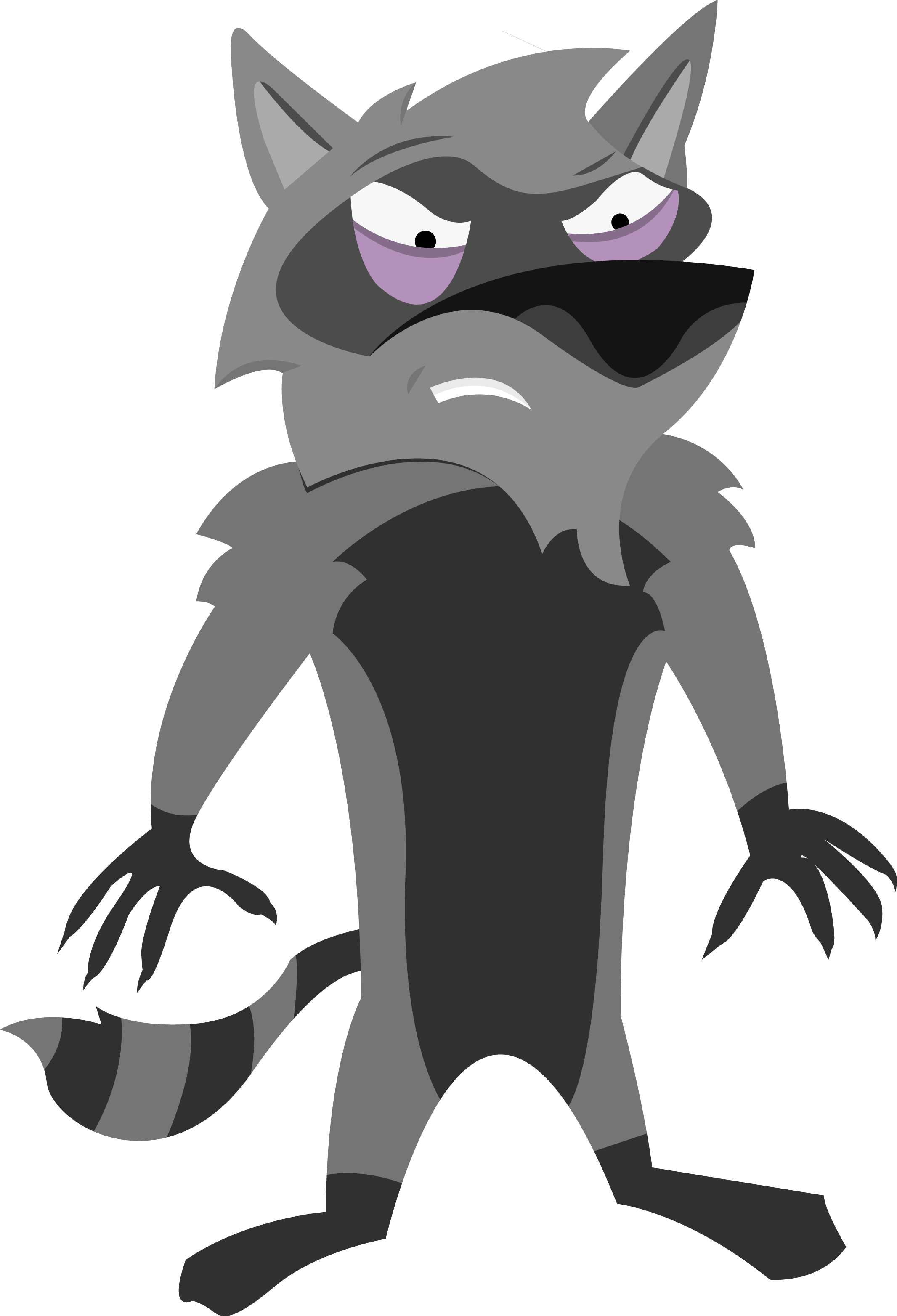 Raccoon.png