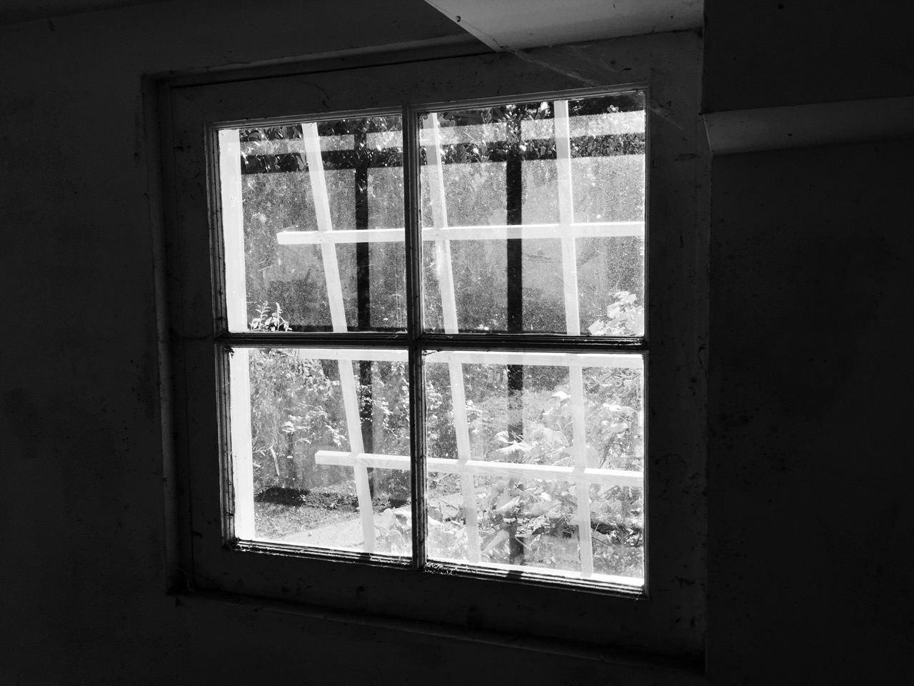 window - 1.jpg