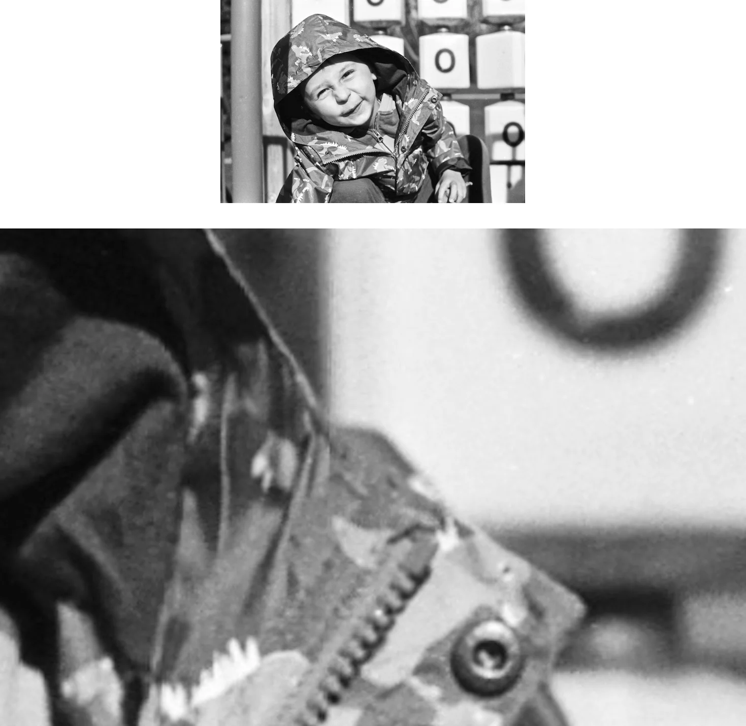 Illustration of the effect of enlargement on perceived focus. (Shot with a Nikon F3 and 50 mm f/1.4 lens on Fomapan 200 black-and-white film.)
