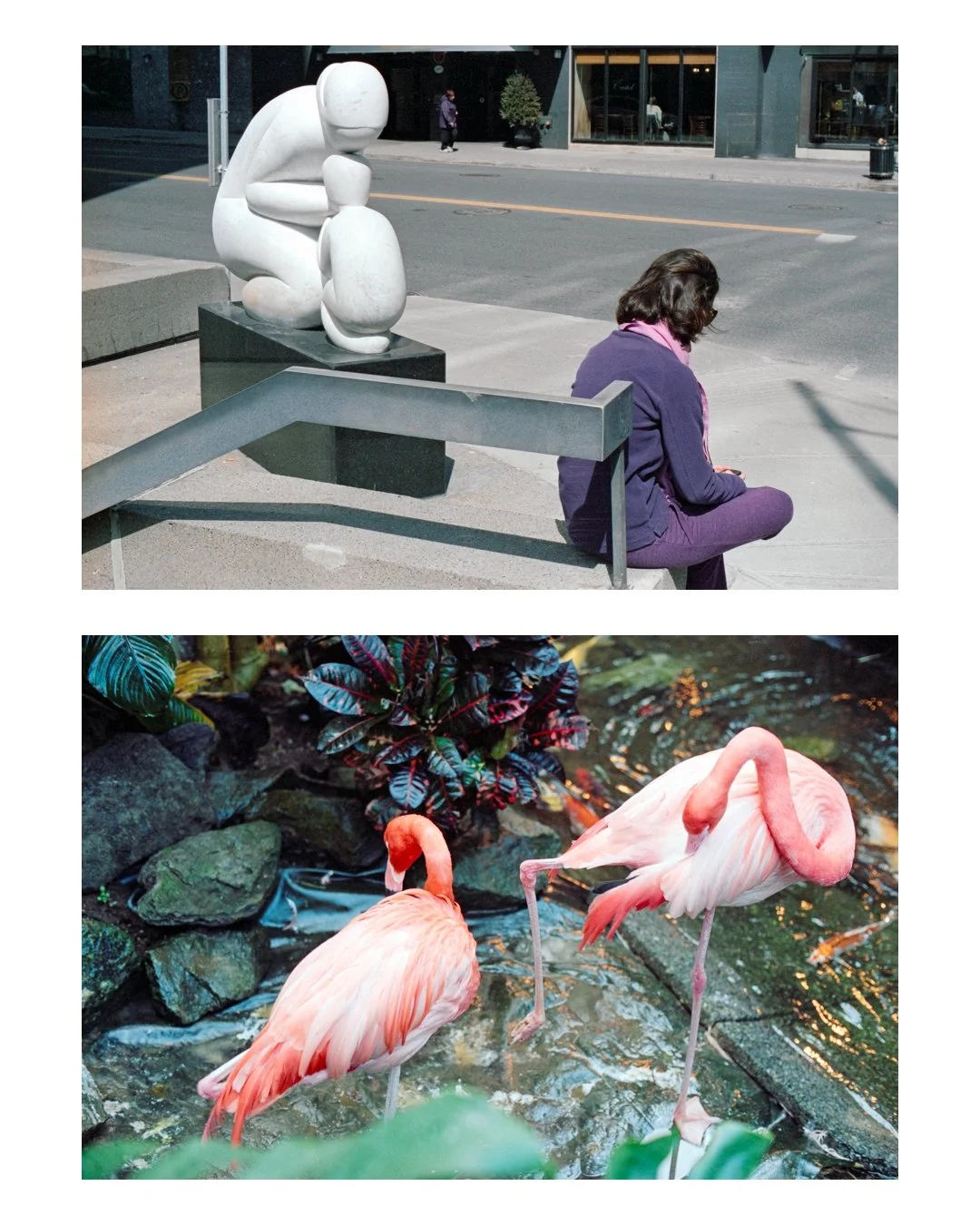 new_diptych.jpg