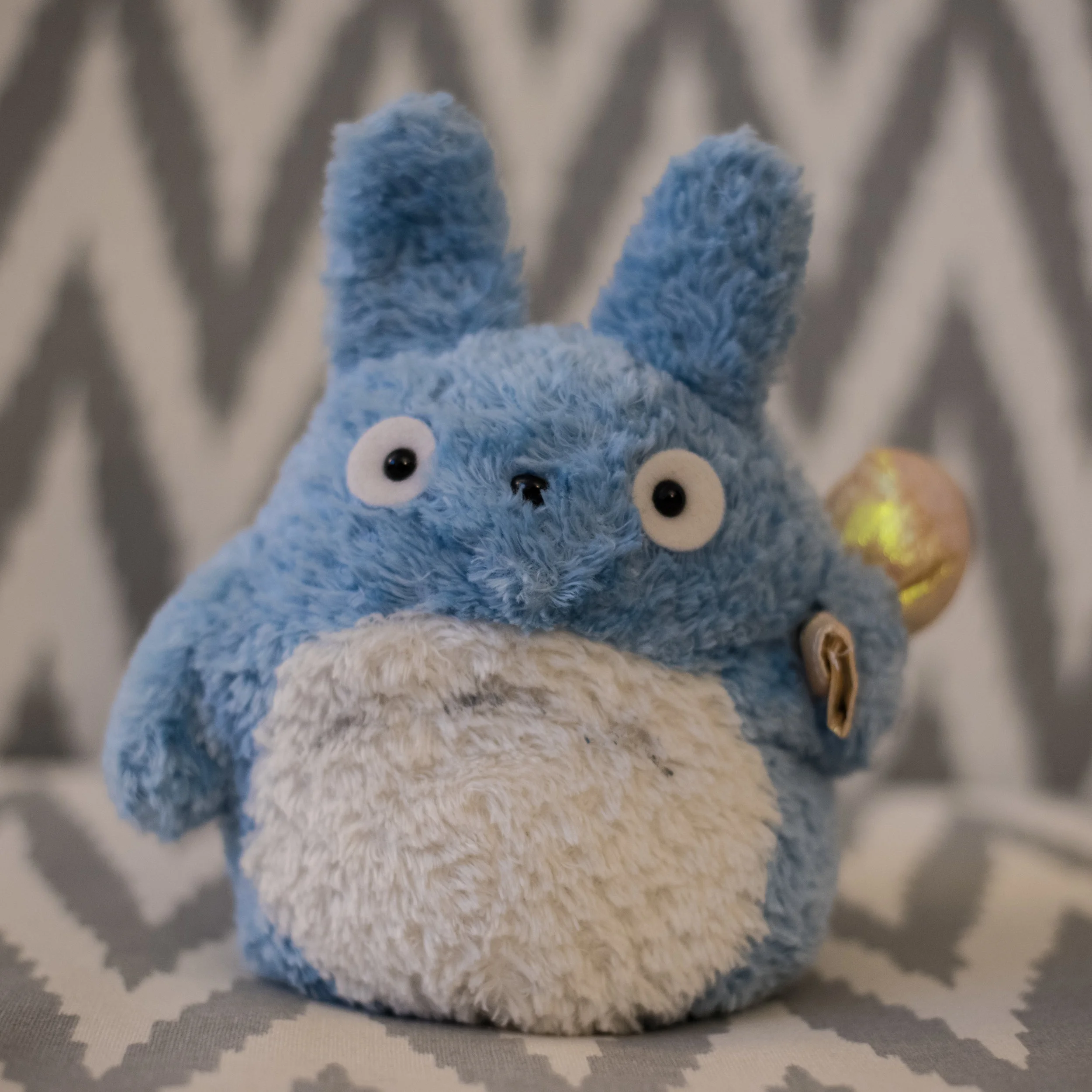 totoro-4491.jpg