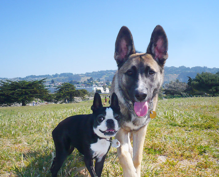 Babe & Roma