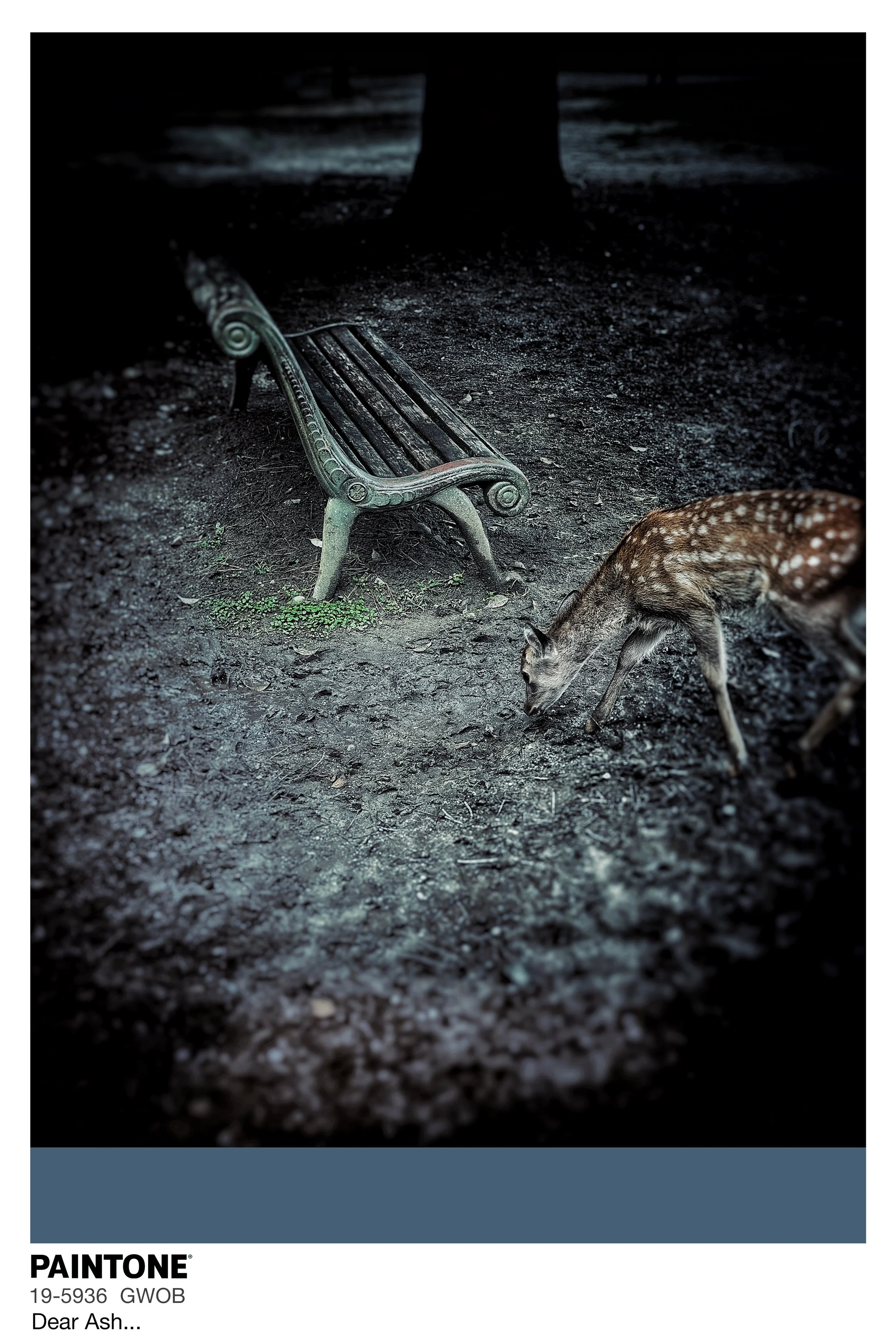 GWOB_PT_ Dear Ash...jpg