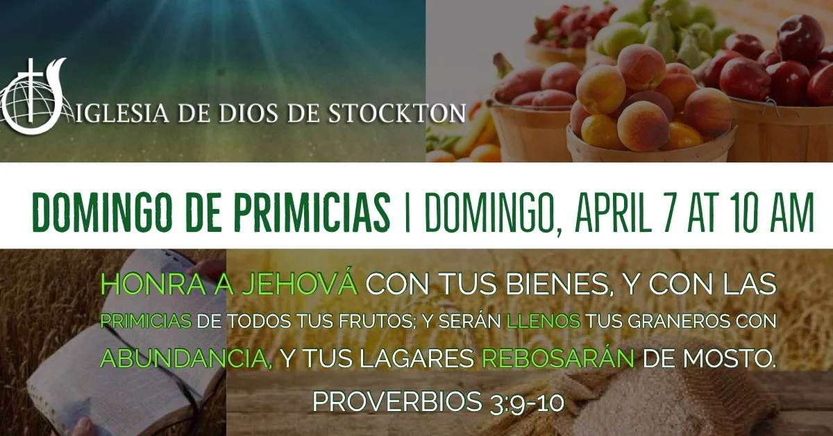 Domingo De Primicias