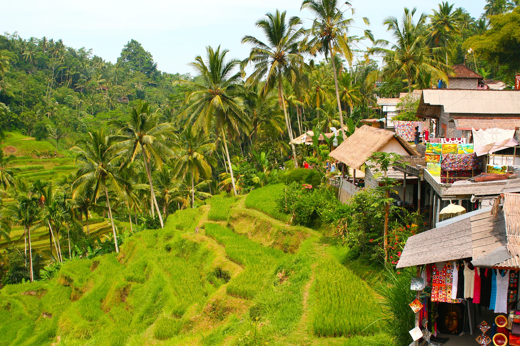 Tegalalang - Bali