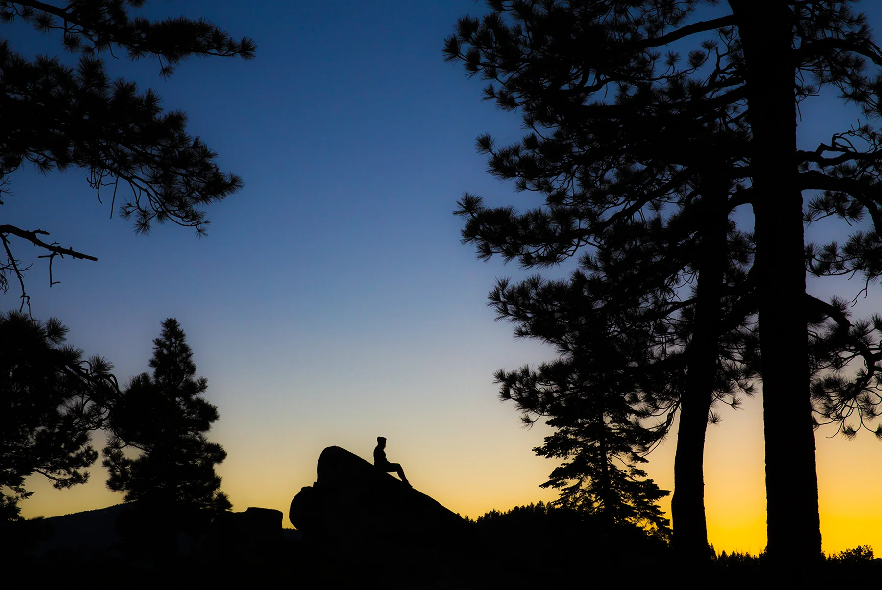 Sunset Silhouette - California