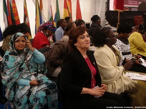 Measuring progress on women’s participation and influence in decision-making in the SDGs: Recommendations to the Inter-agency and Expert Group and UN Member States