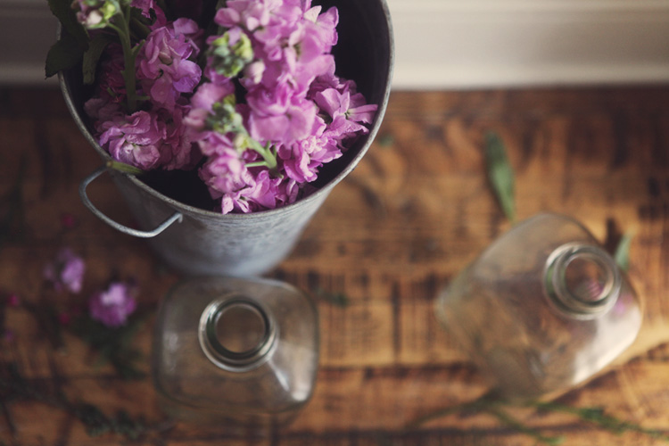 tasting spring.