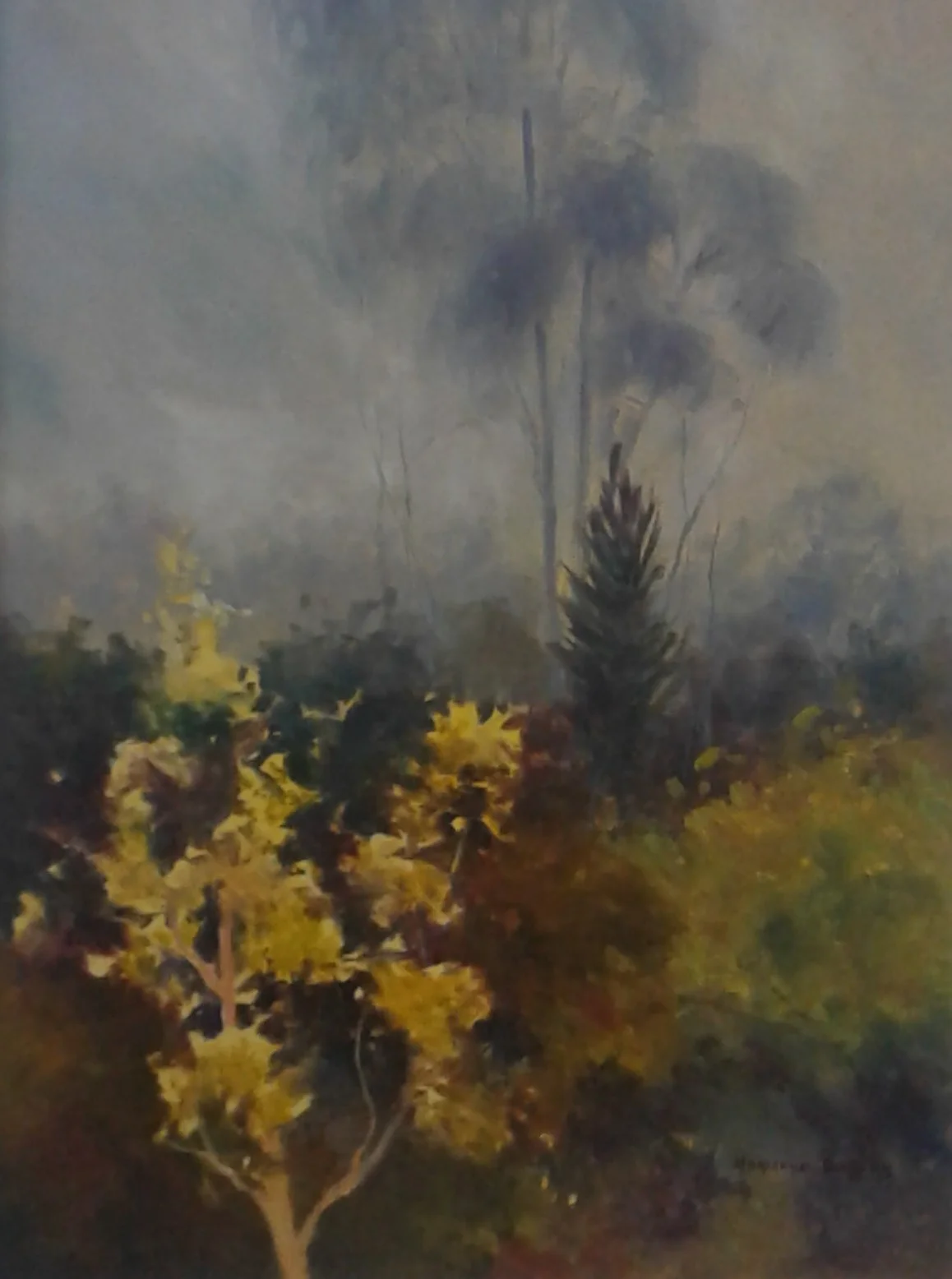 20190621_102810 (2).jpg