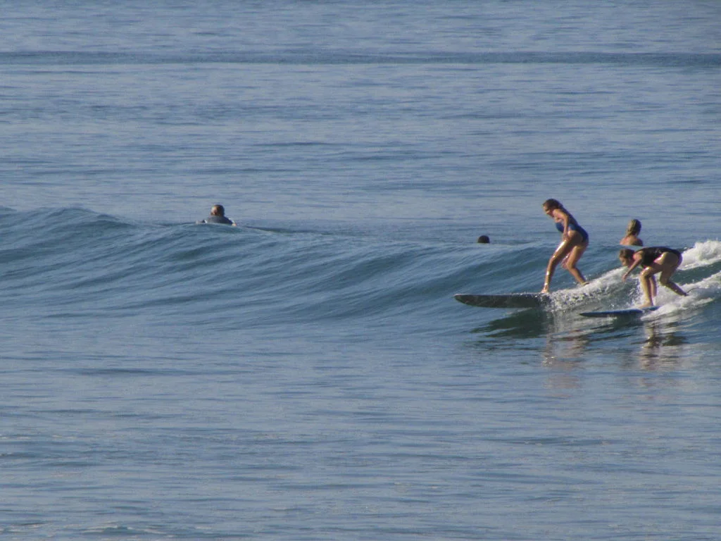 del sol surf.png