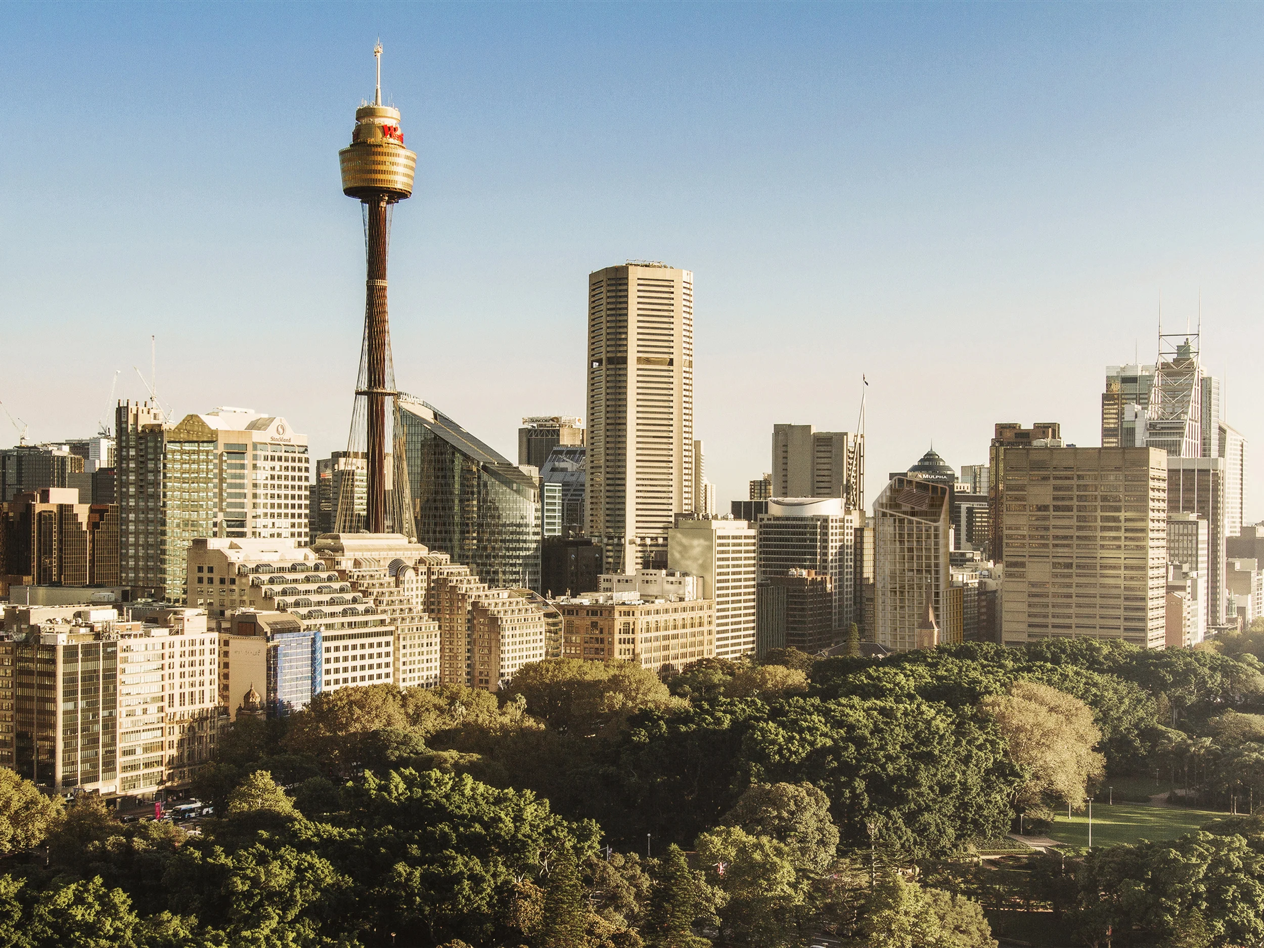 City Shot cropped 3x4.jpg