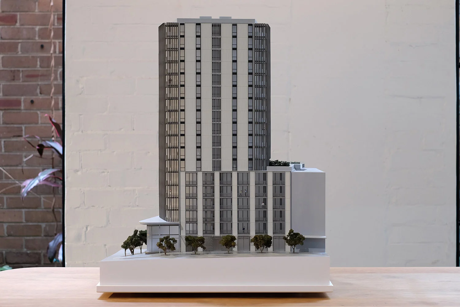 Marketing Model 1_85 Denwol_Bondi Junction 1.jpg