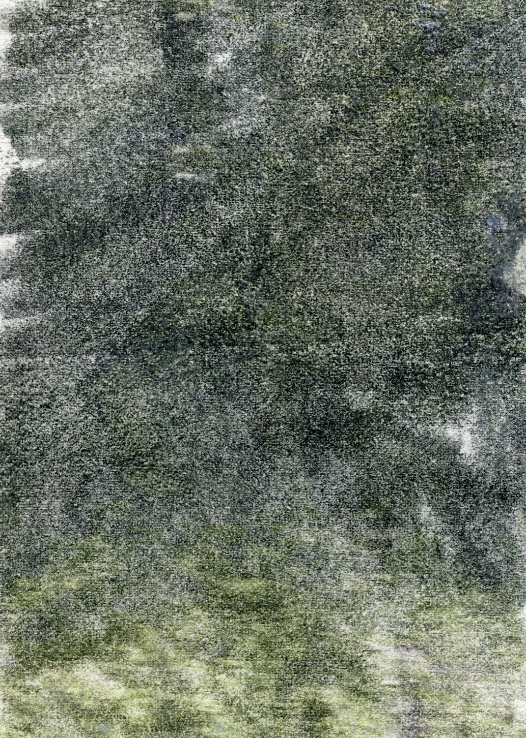 81001.jpg